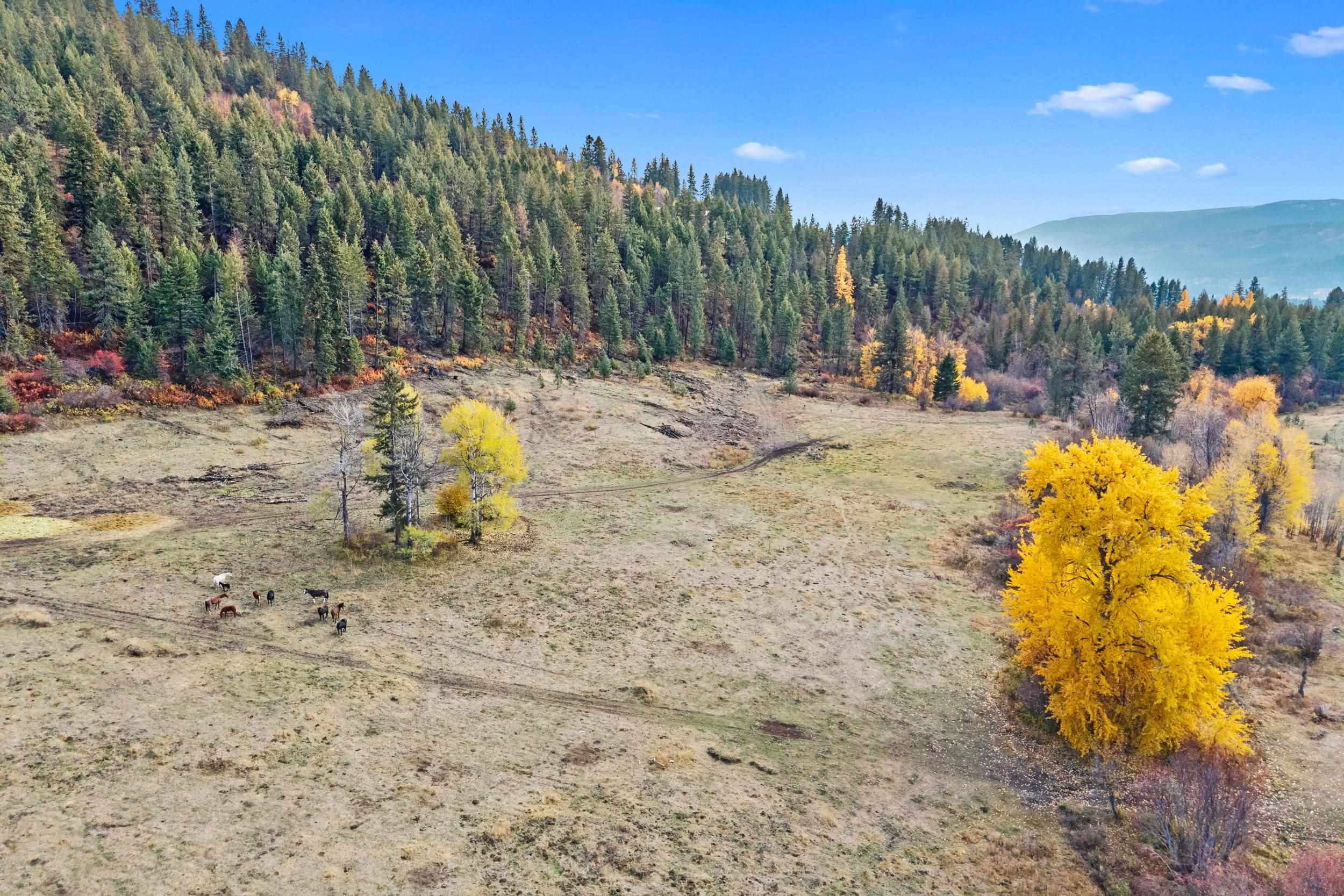 3115 Beardslee Rd - Photo 35