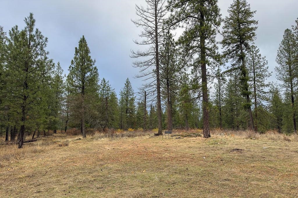 0 N Mt Carlton APN 47131.9081 Rd - Photo 15
