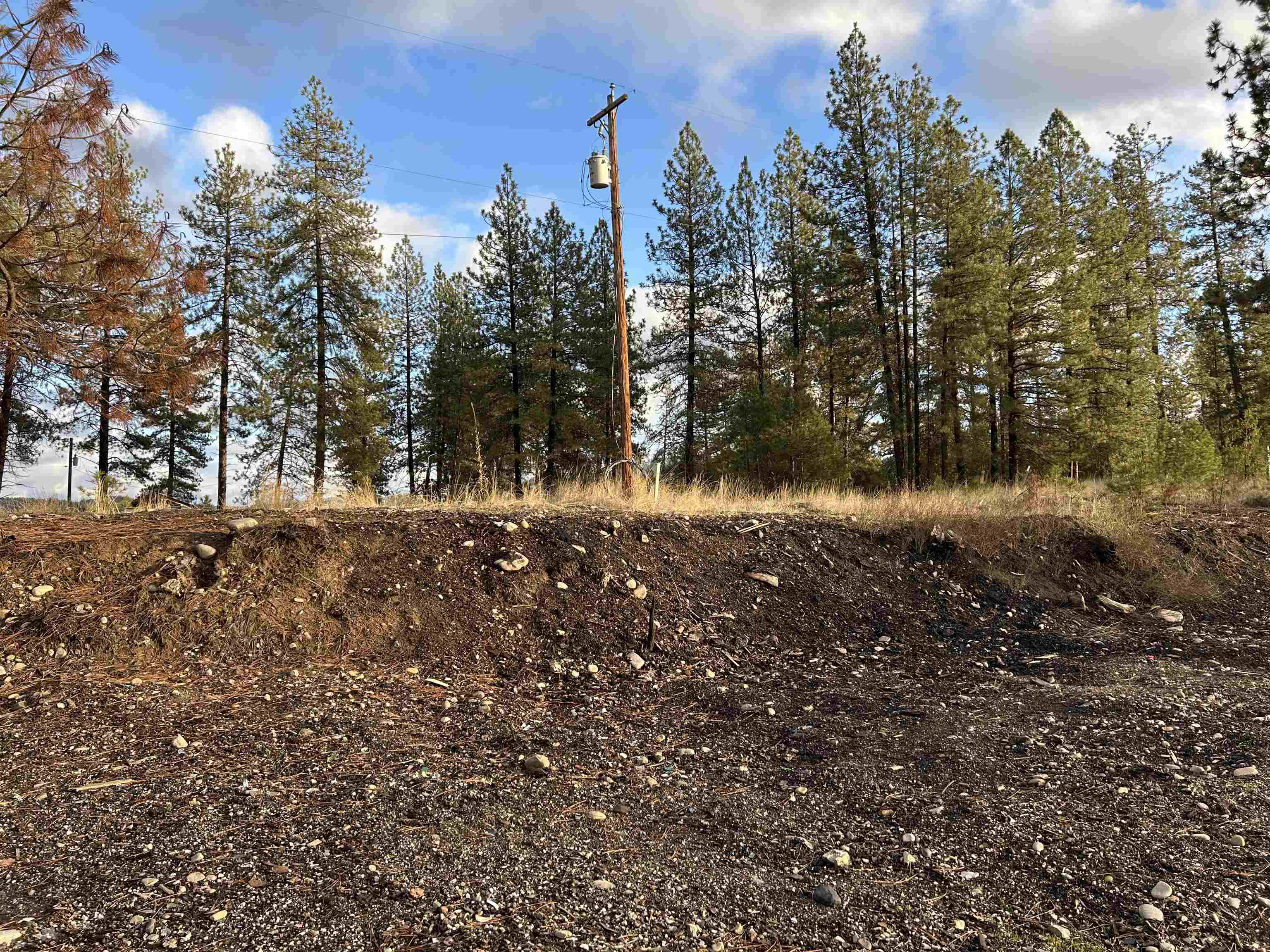 4256 Hwy 231 - Photo 2