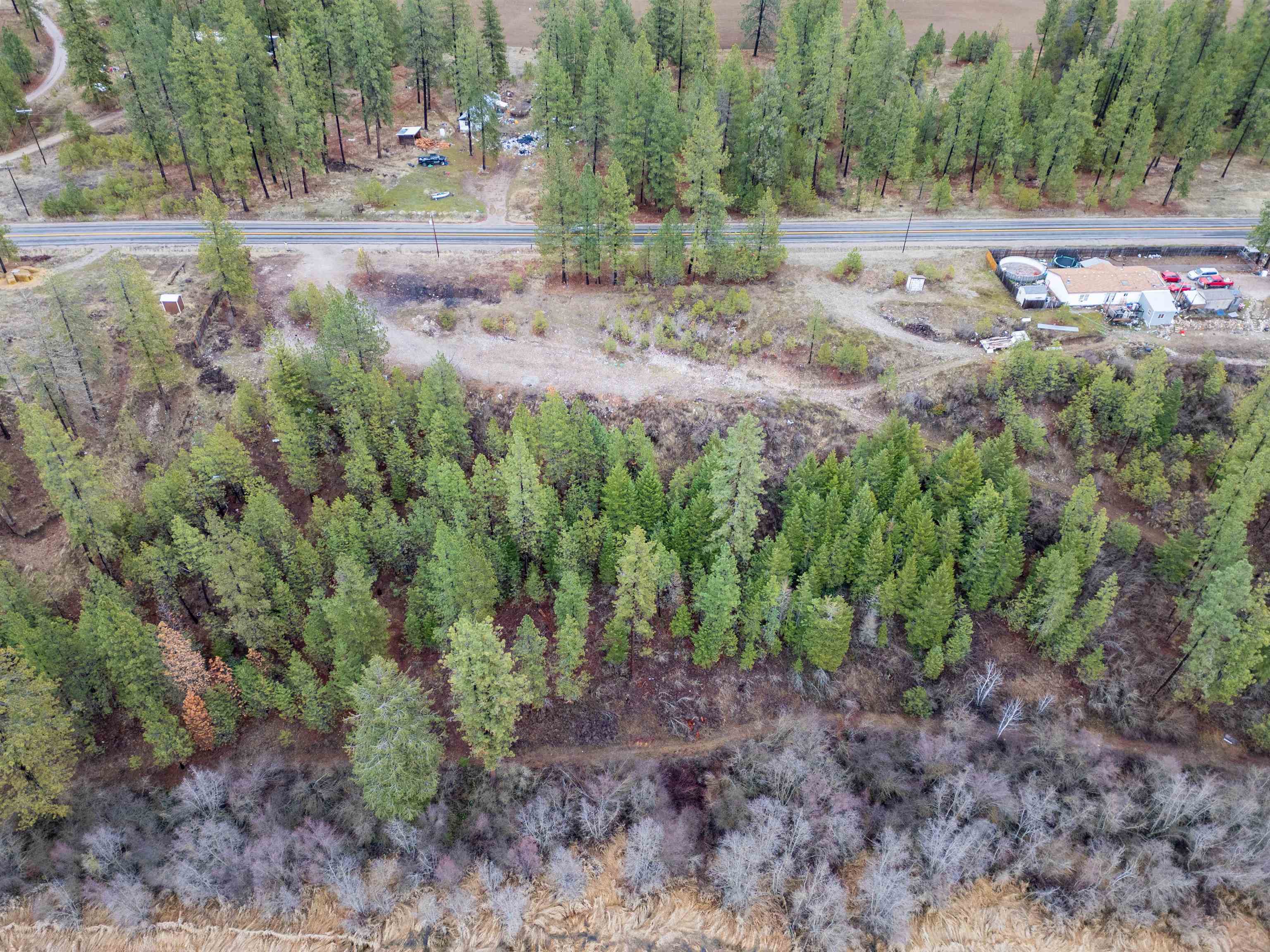 4256 Hwy 231 - Photo 12