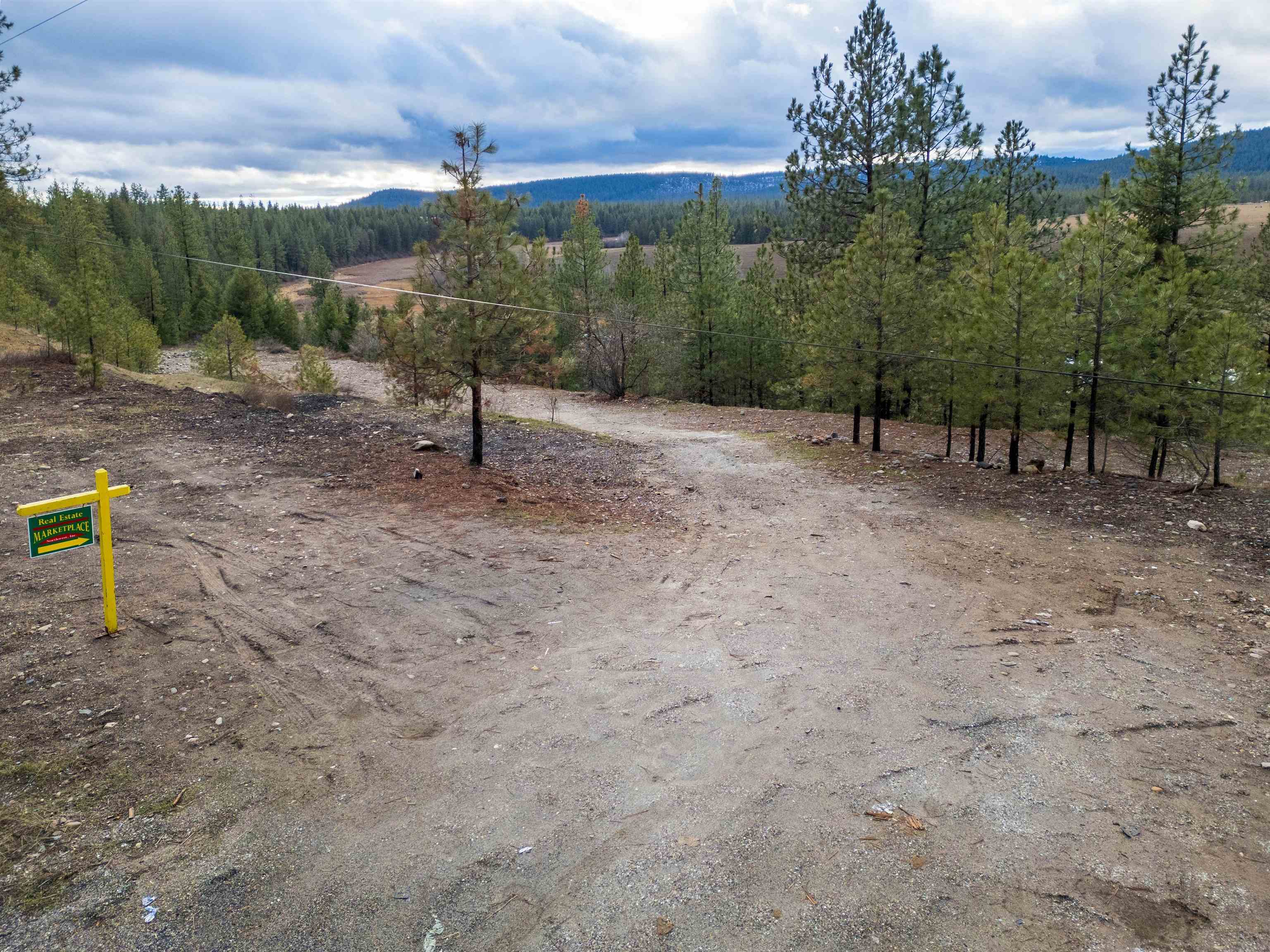 4256 Hwy 231 - Photo 14