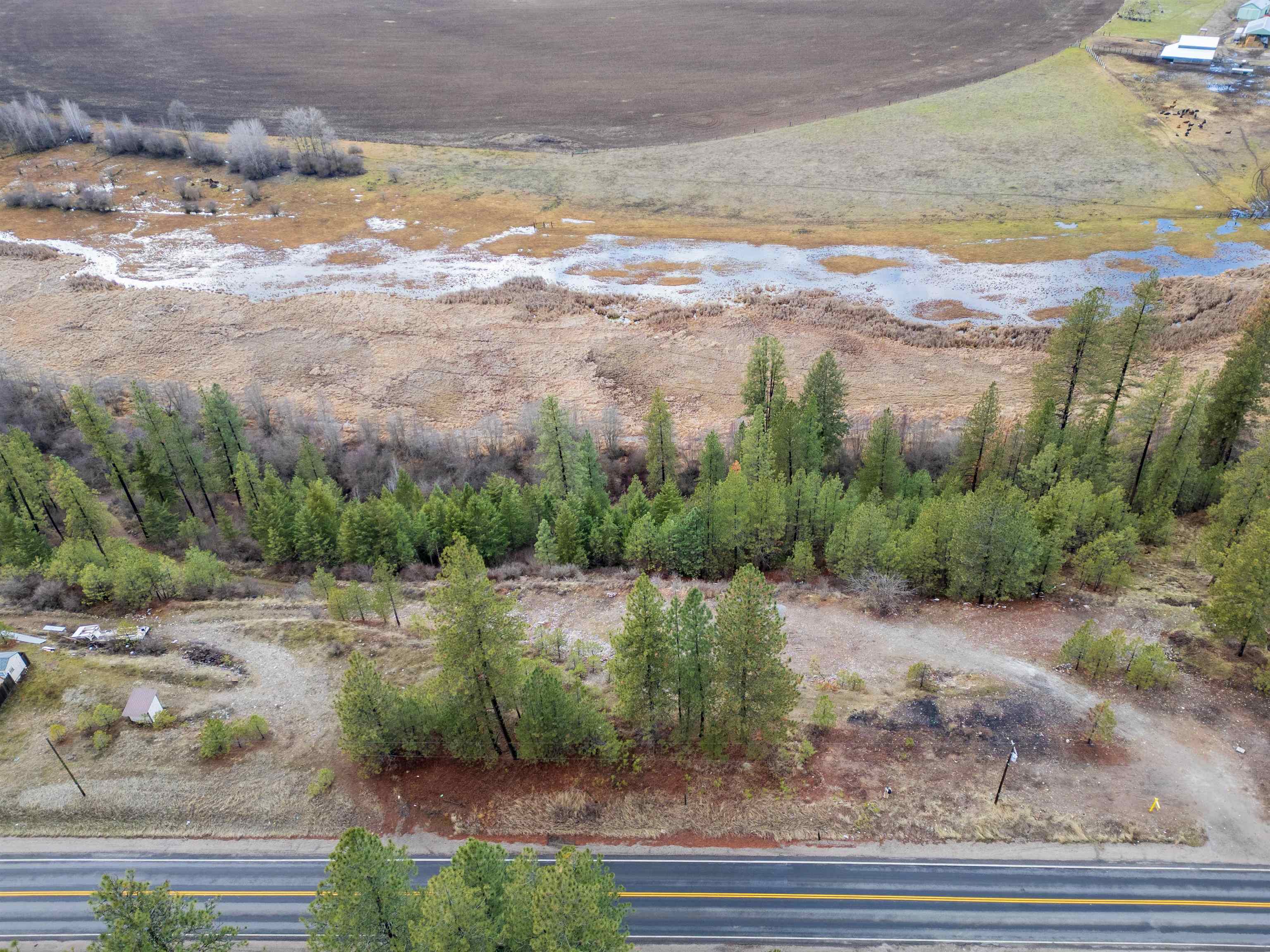 4256 Hwy 231 - Photo 15