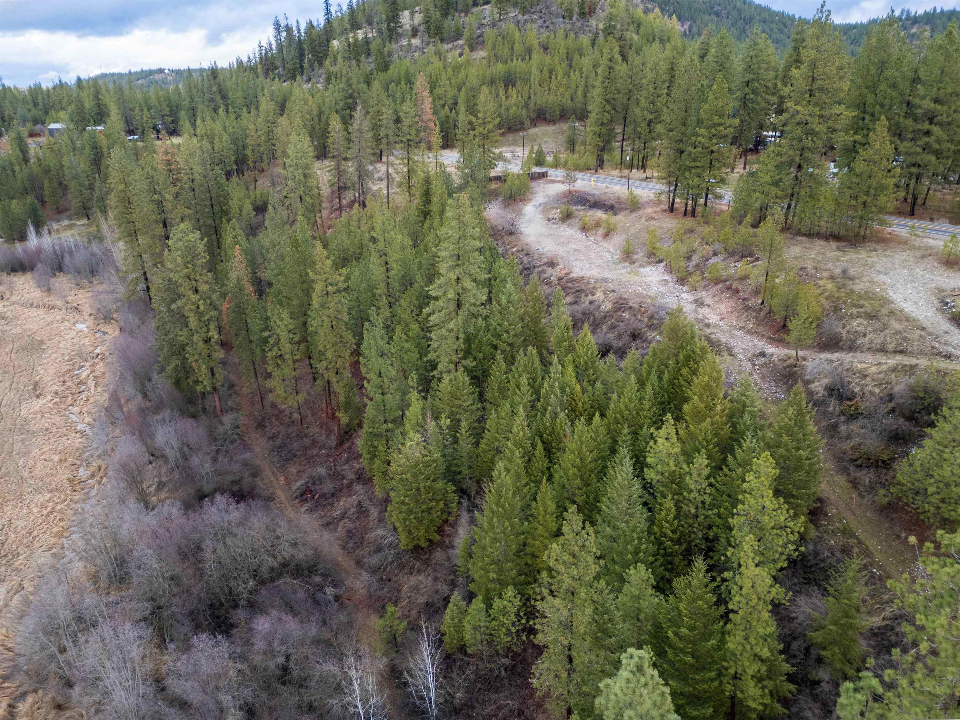 4256 Hwy 231 - Photo 8