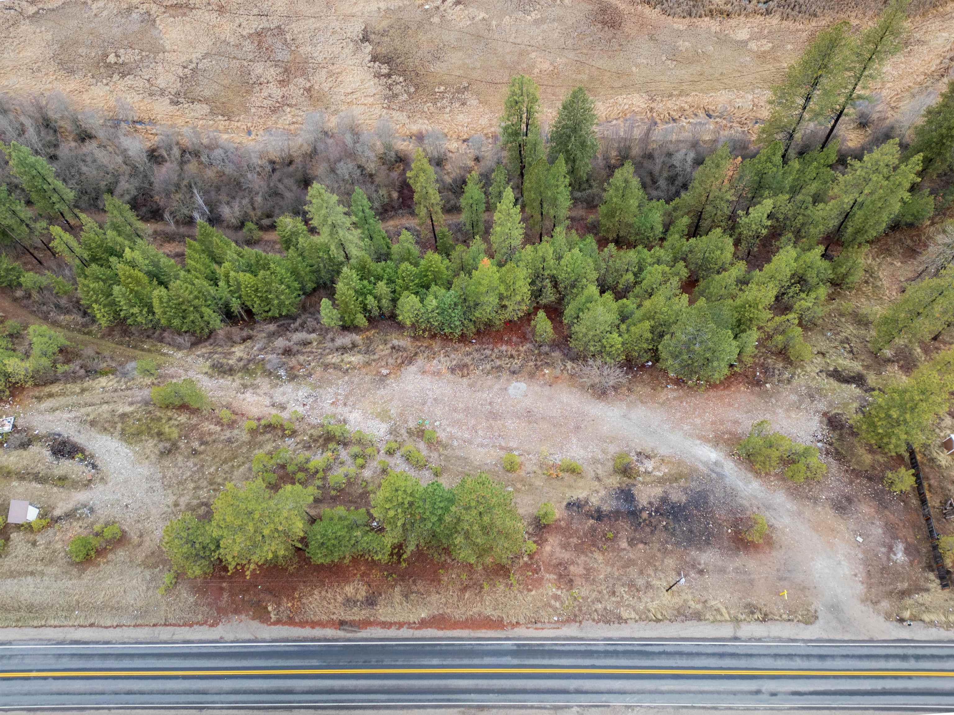 4256 Hwy 231 - Photo 9