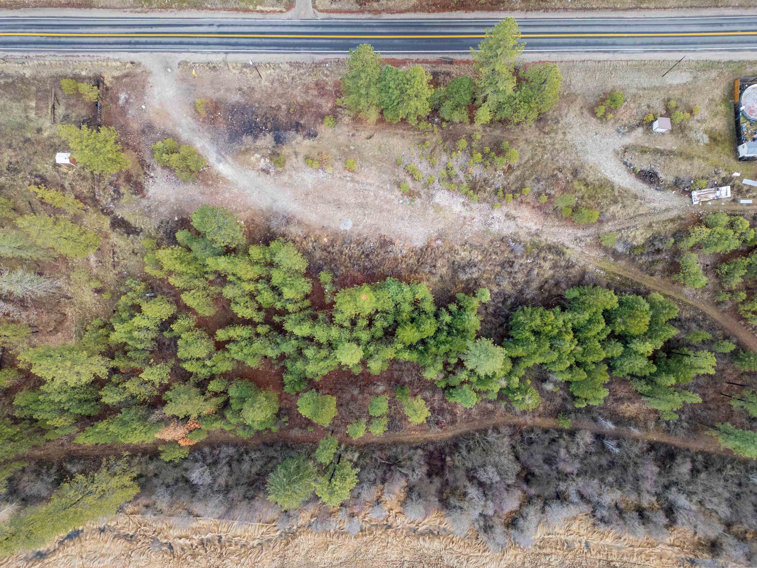 4256 Hwy 231 - Photo 10