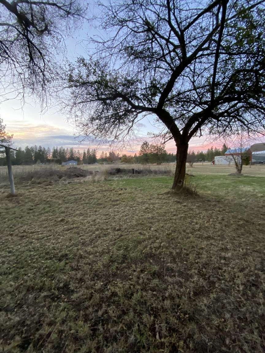 27603 N COTTONWOOD Rd - Photo 36