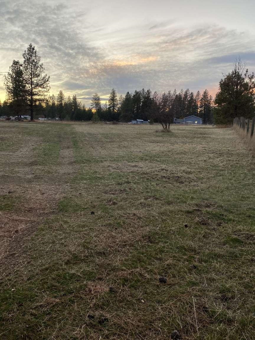 27603 N COTTONWOOD Rd - Photo 37