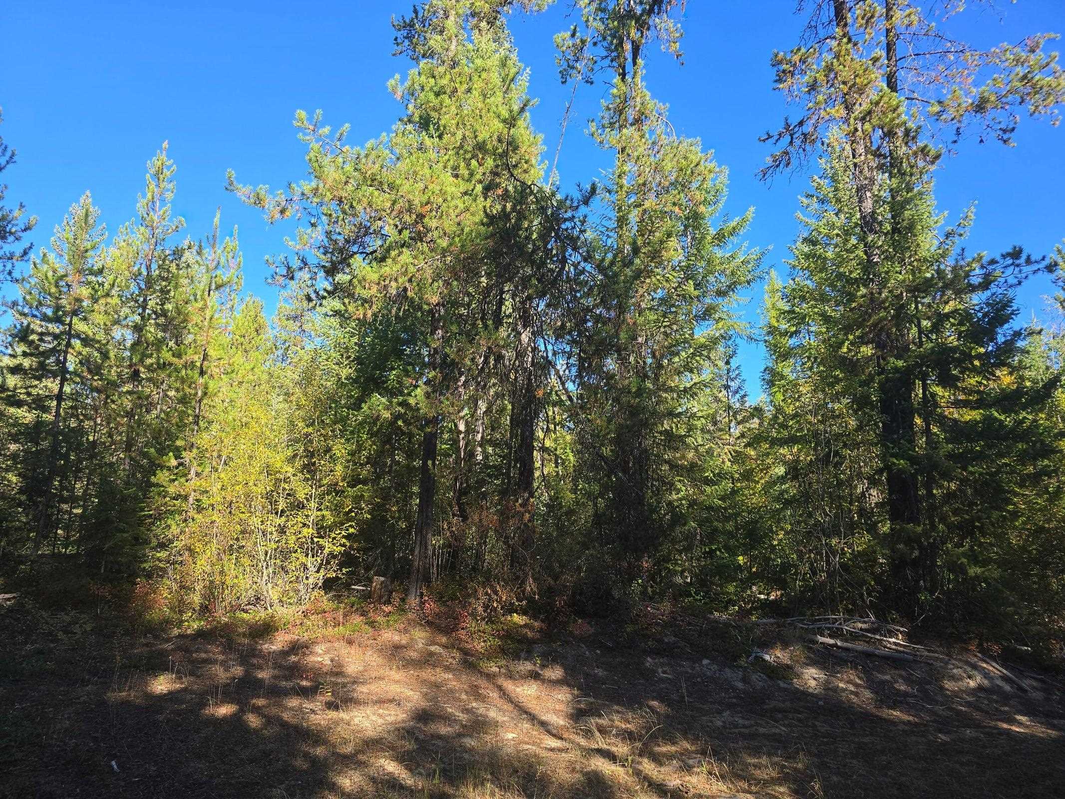 XXX Red Tail Way - Photo 1