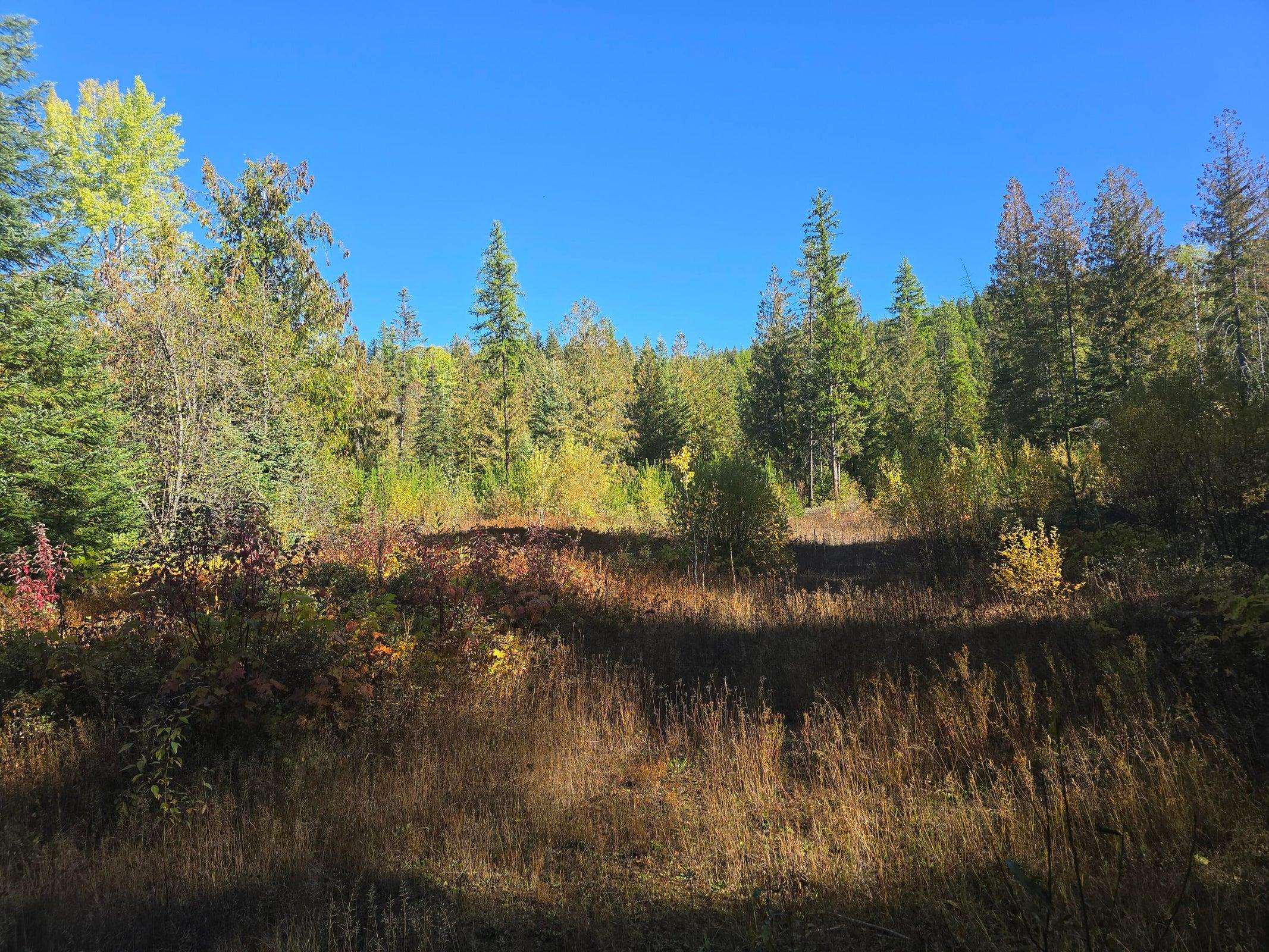 XXX Red Tail Way - Photo 3