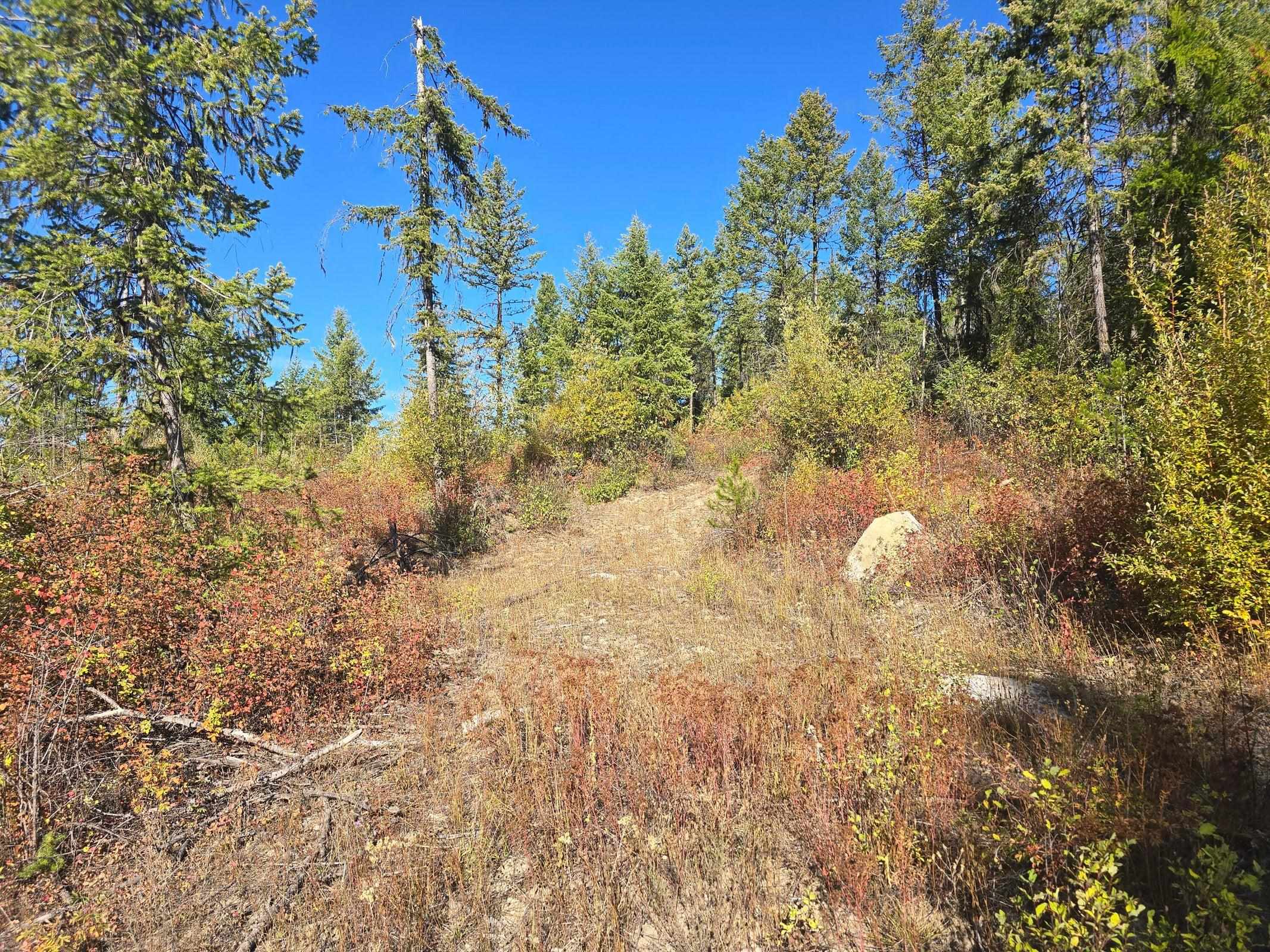 XXX Red Tail Way - Photo 5