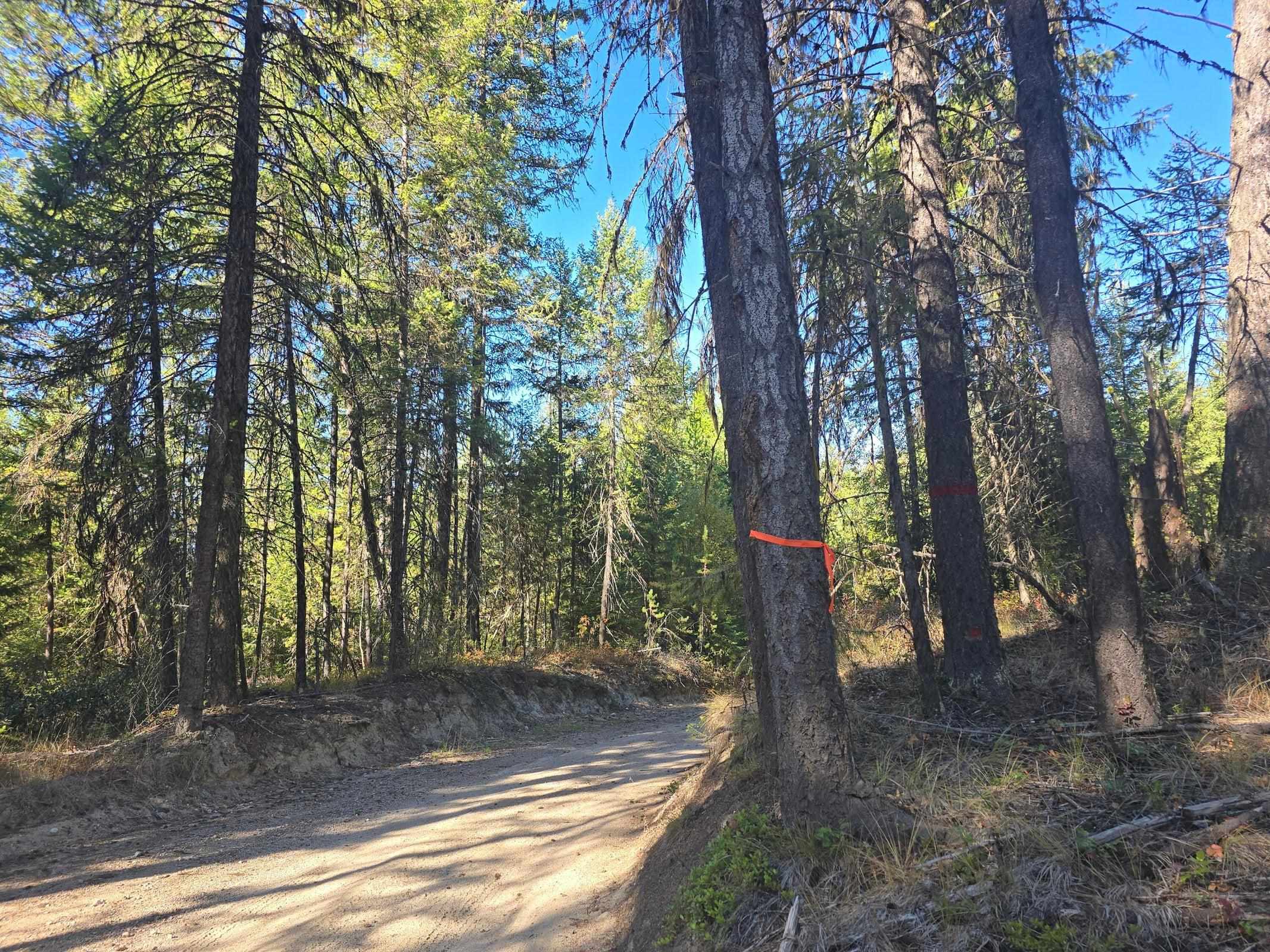 XXX Red Tail Way - Photo 8