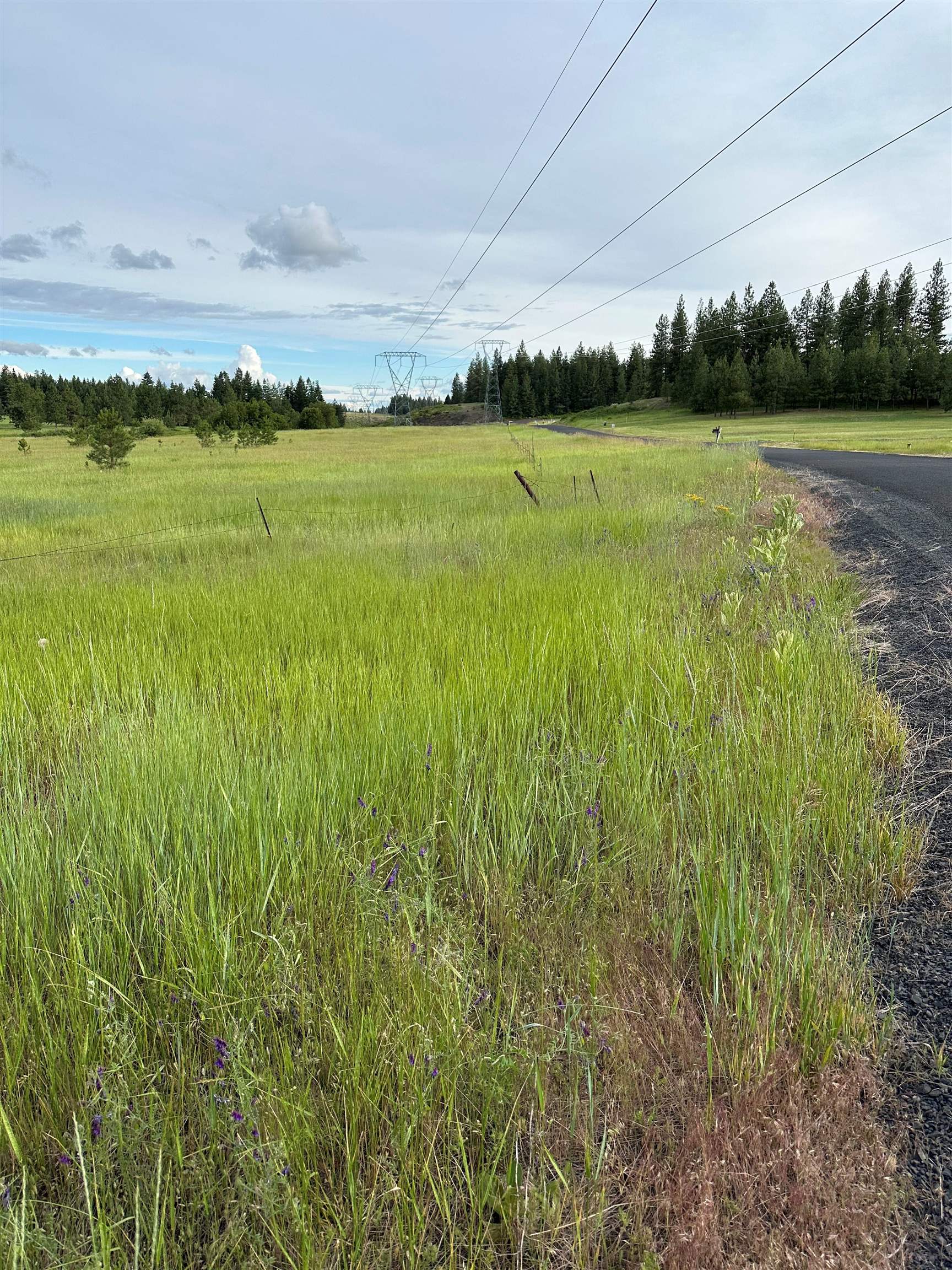 N Whitetail Lane GG Ln - Photo 1