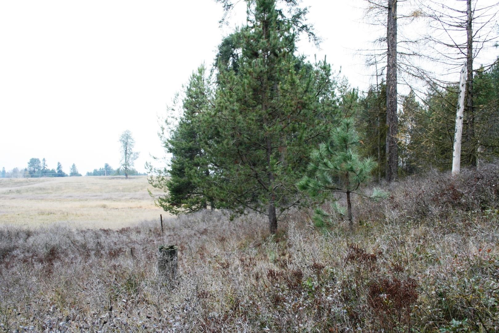 00 Dahl Lot 7 Rd - Photo 5