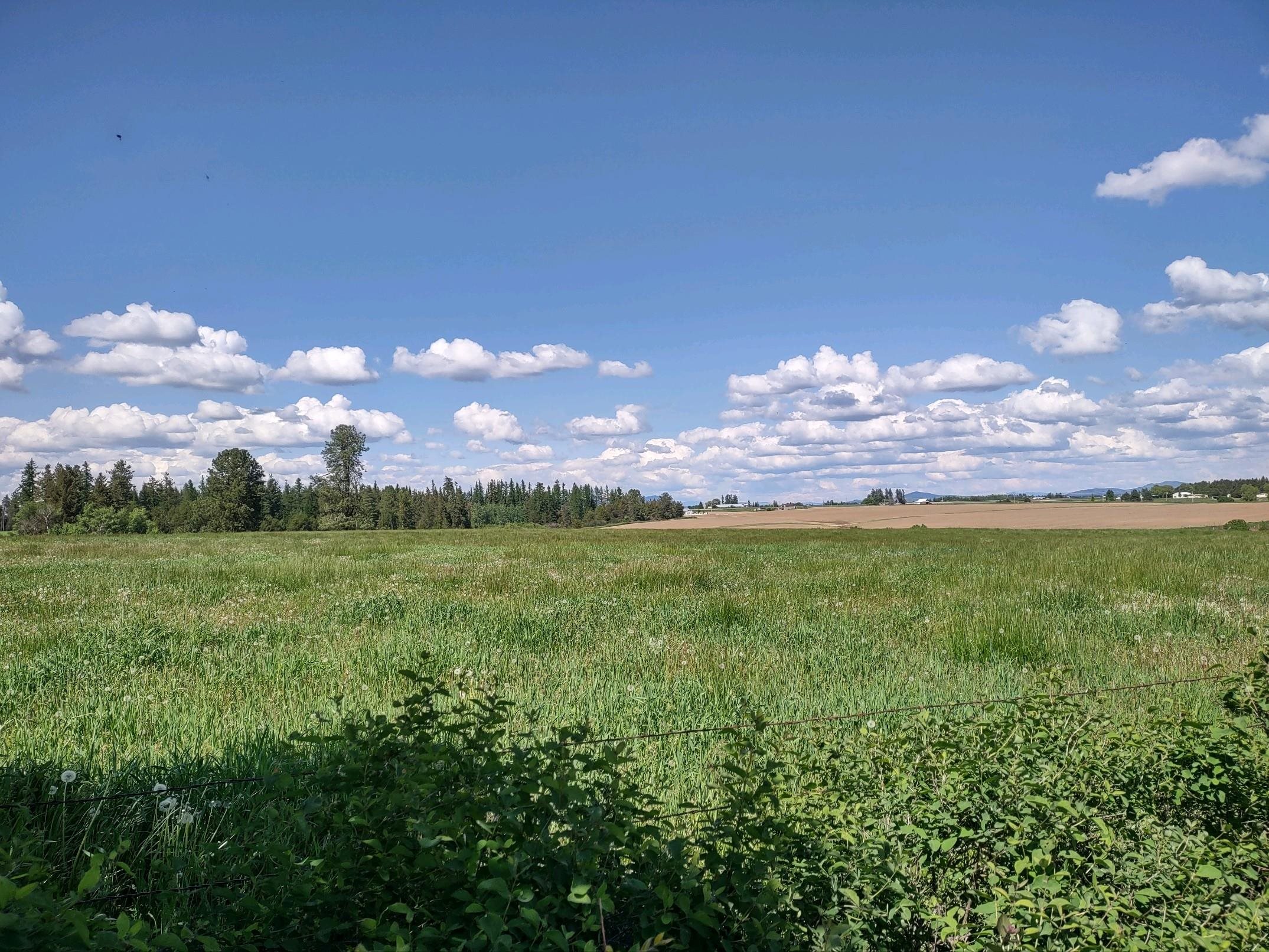 00 Dahl Lot 9 Rd - Photo 1