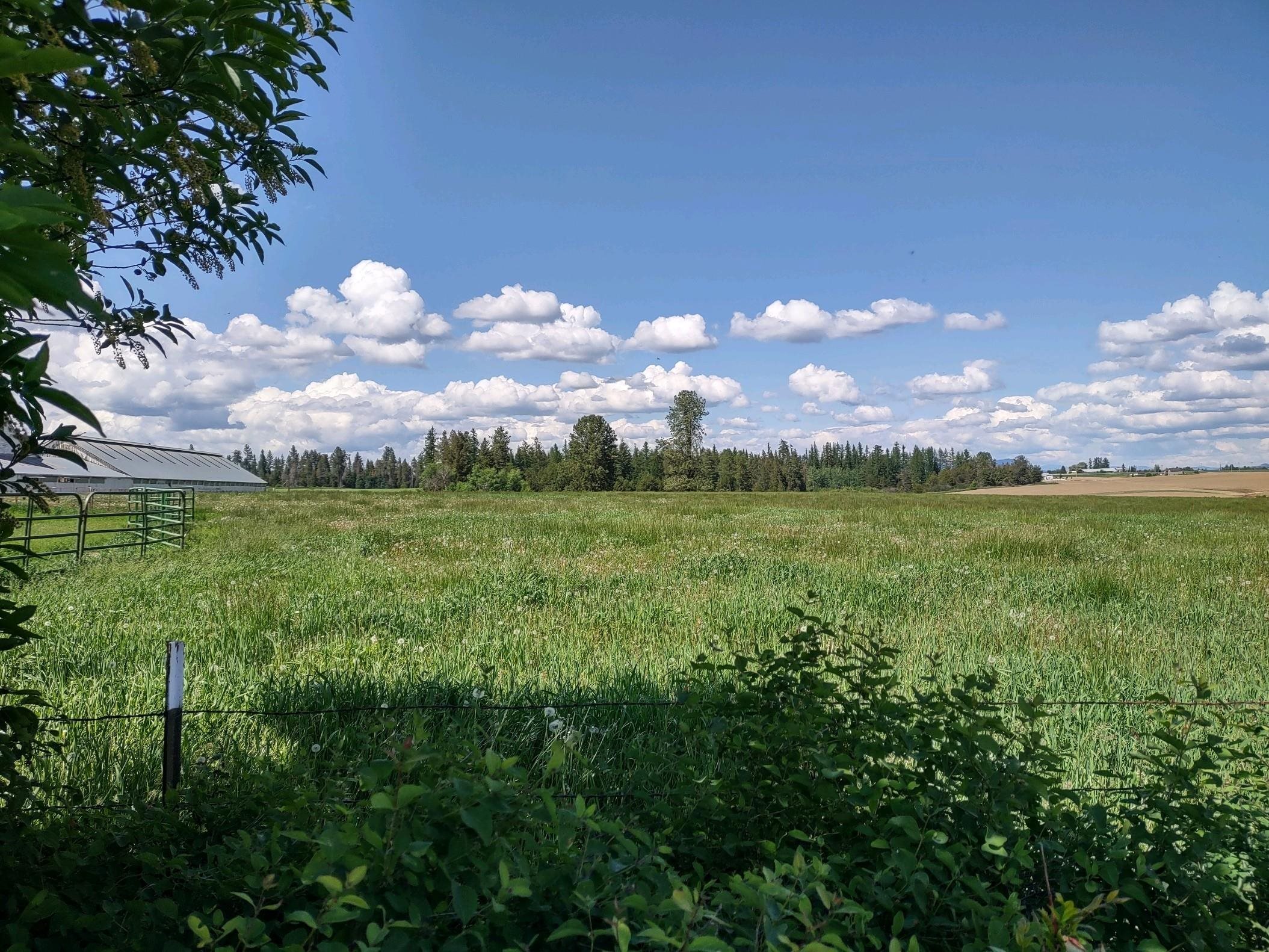 00 Dahl Lot 9 Rd - Photo 2