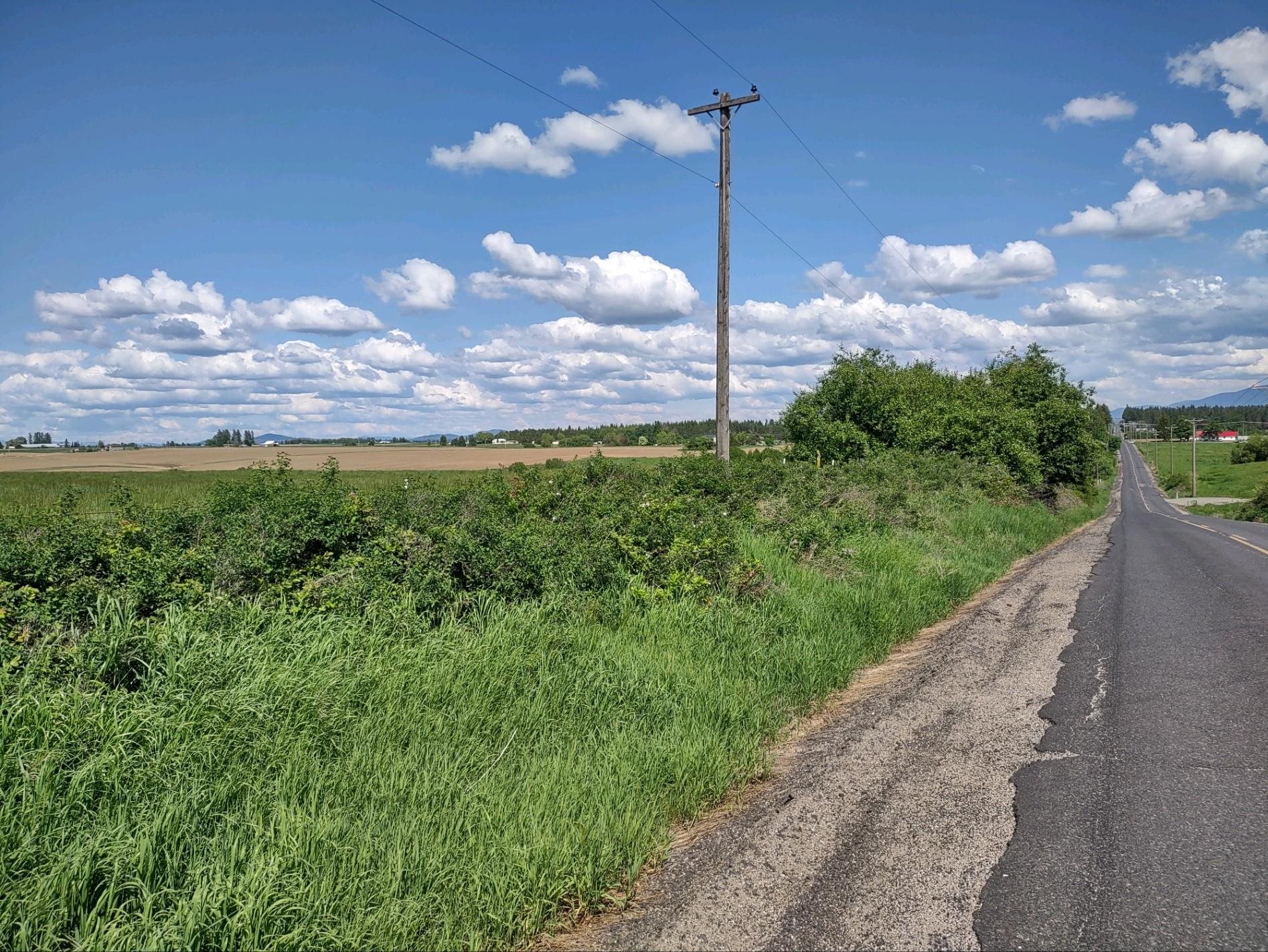 00 Dahl Lot 9 Rd - Photo 3