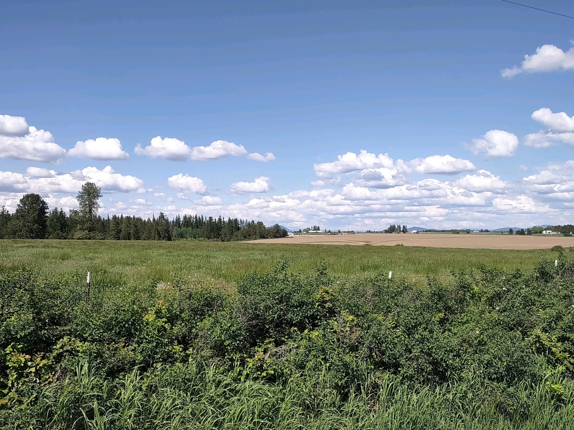 00 Dahl Lot 9 Rd - Photo 4