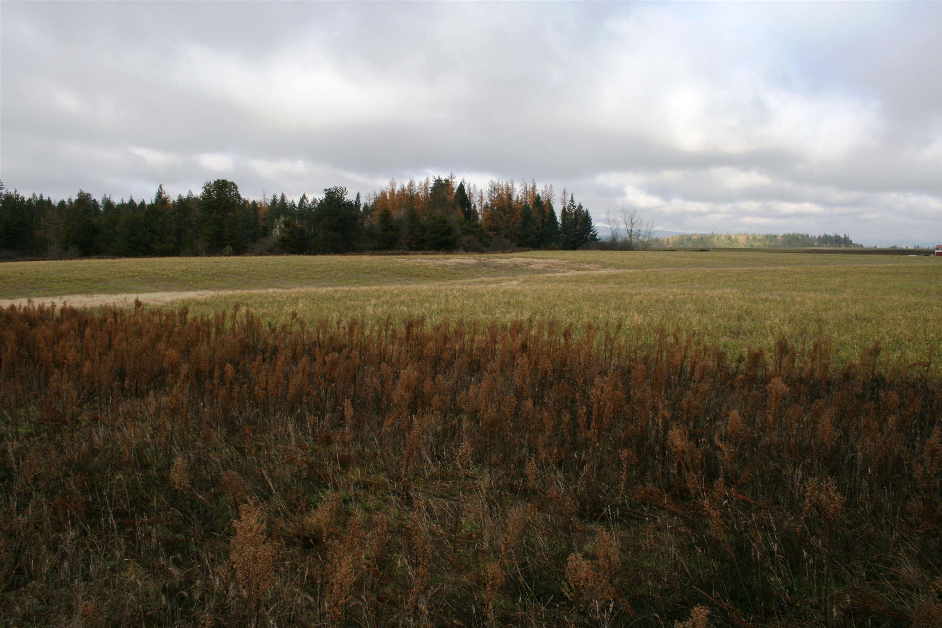 Lot 4 Mule Deer Ln - Photo 1
