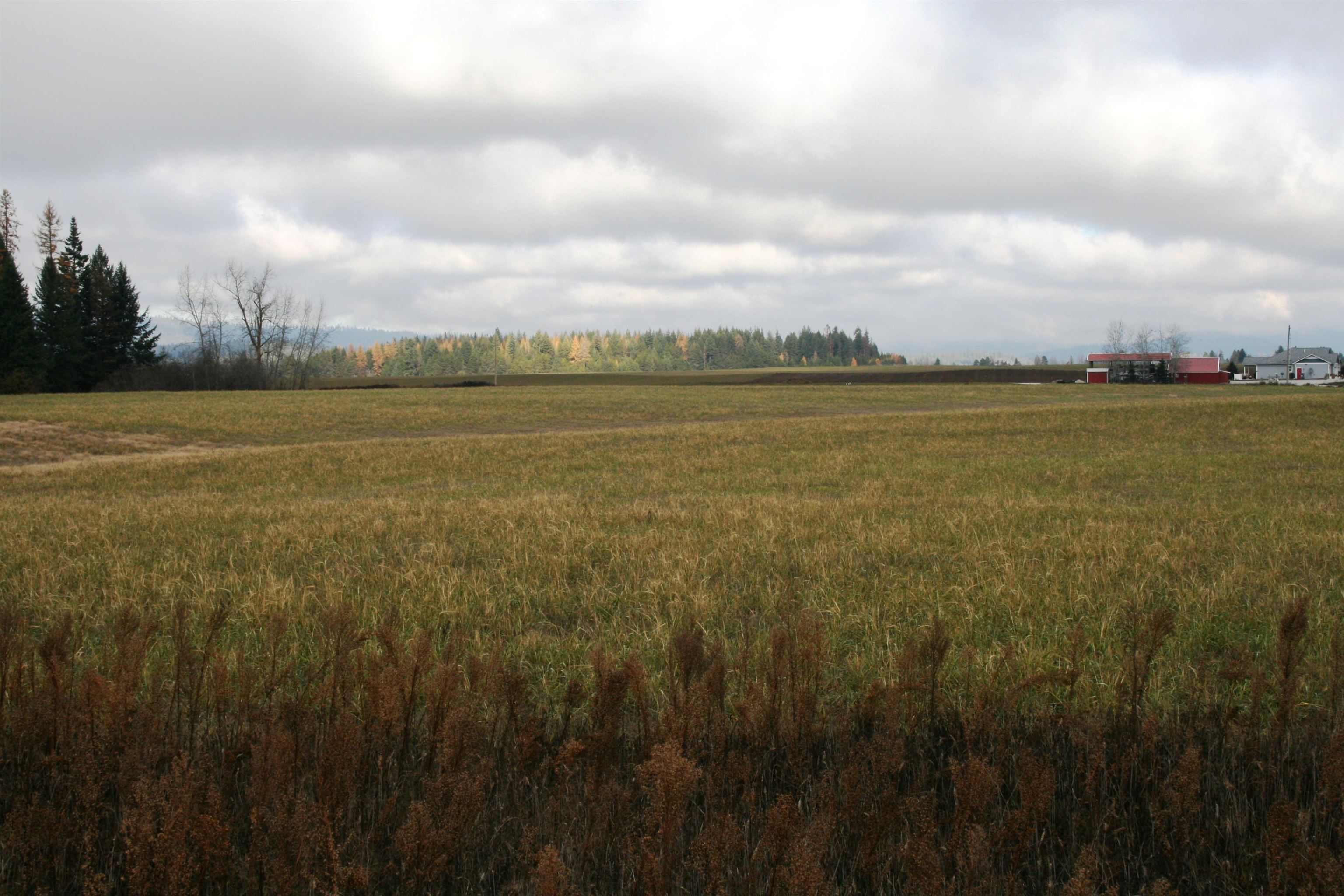 Lot 4 Mule Deer Ln - Photo 2