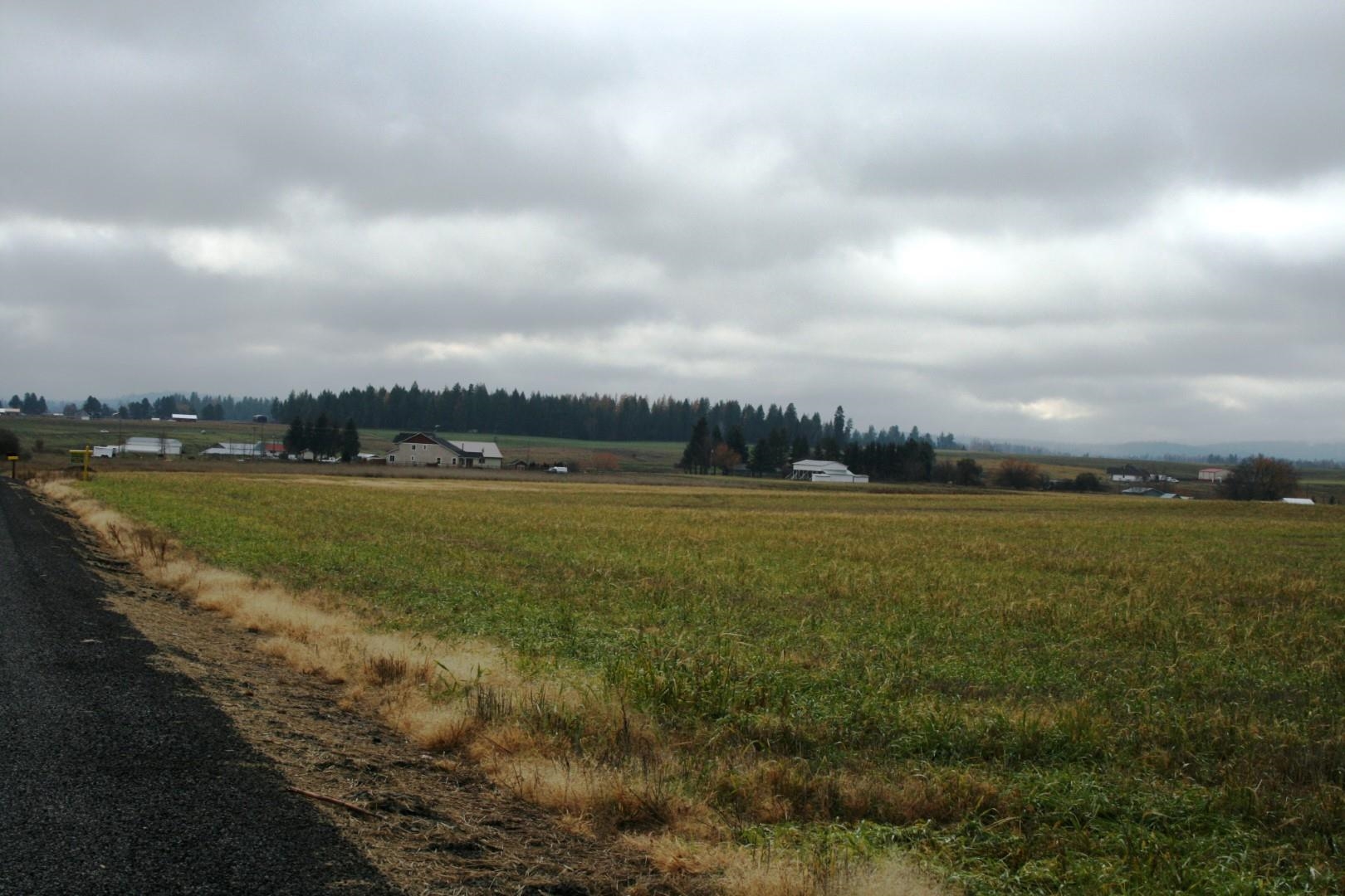 Lot 2 Mule Deer Ln - Photo 3