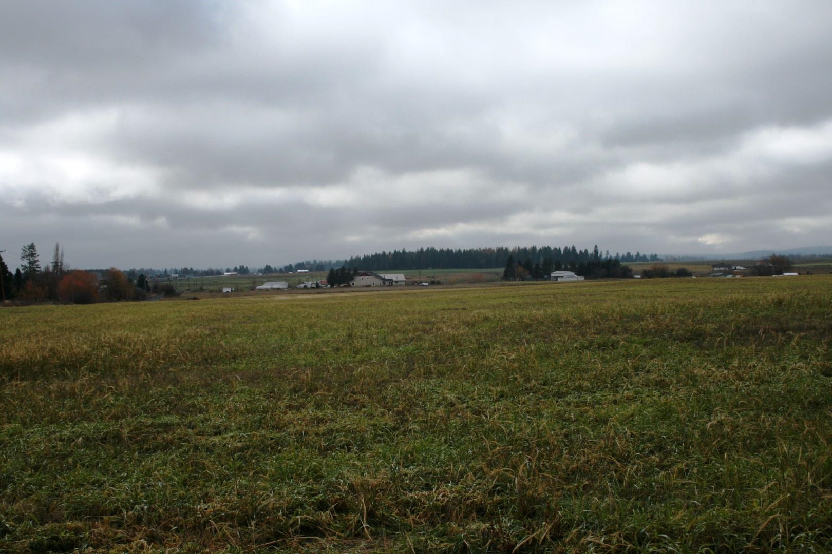 Lot 2 Mule Deer Ln - Photo 4