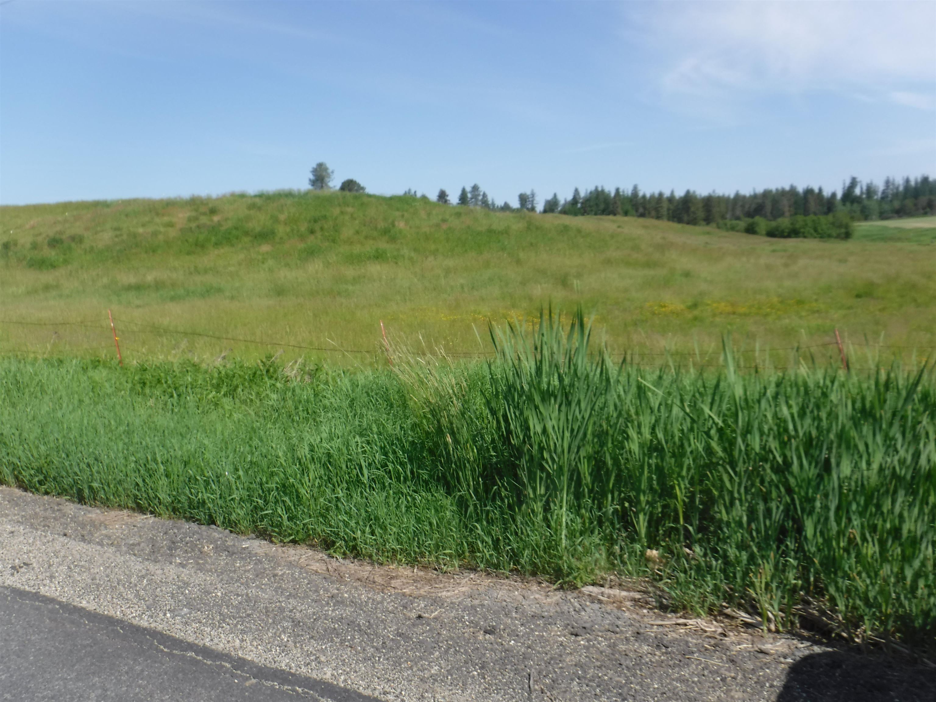 Lot 12 Mule Deer Ln - Photo 1