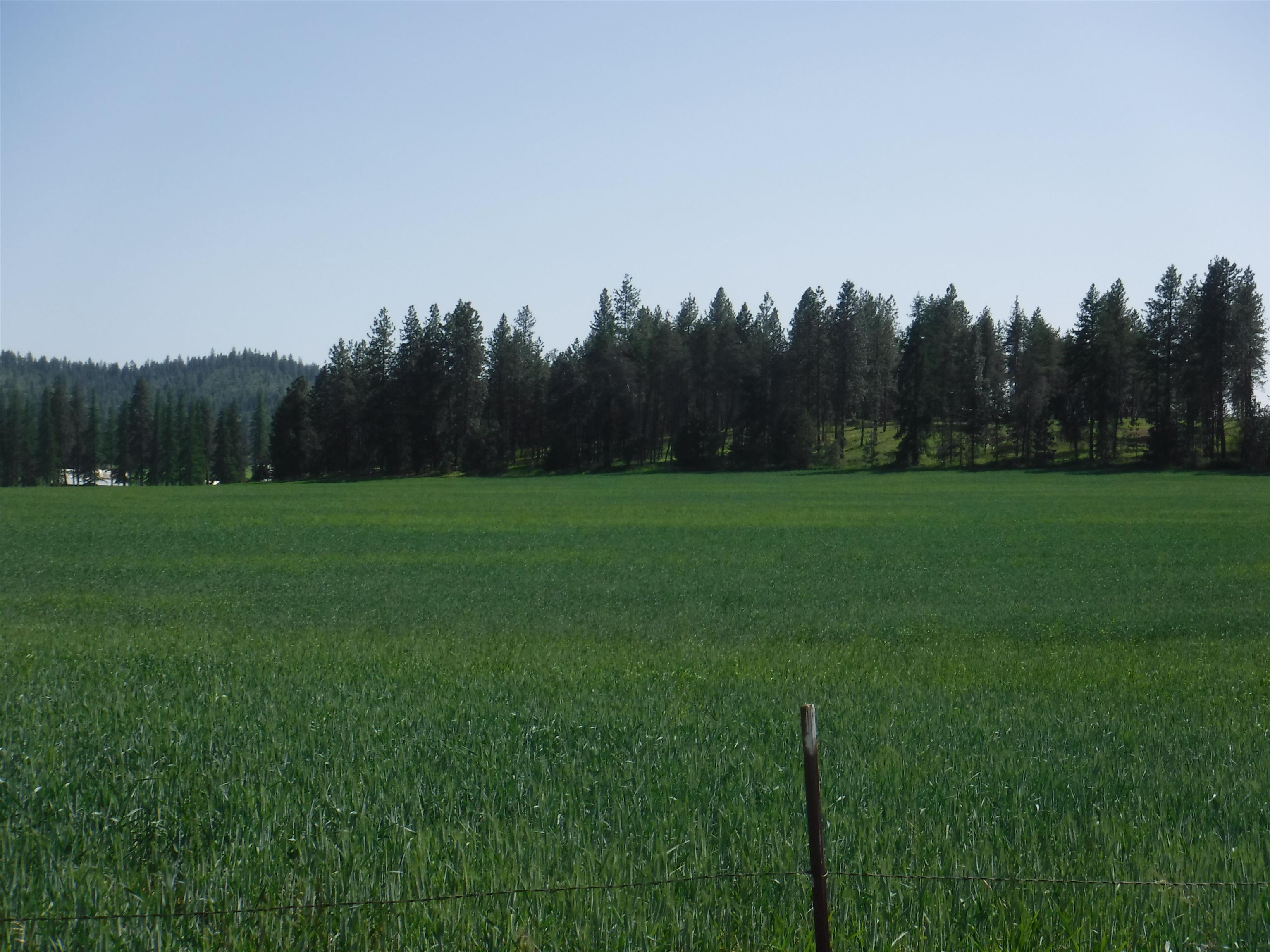 Lot 12 Mule Deer Ln - Photo 2