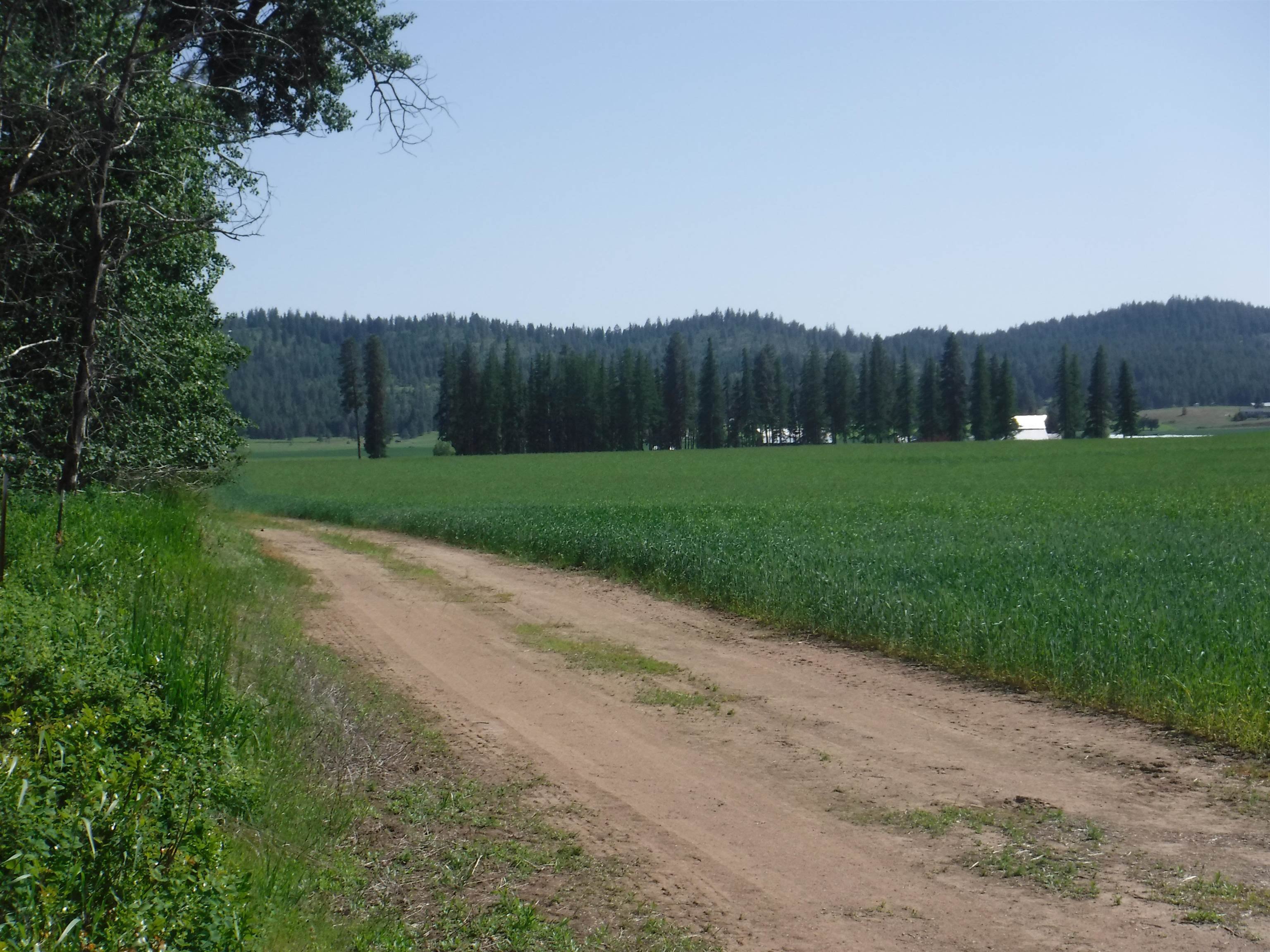 Lot 12 Mule Deer Ln - Photo 3