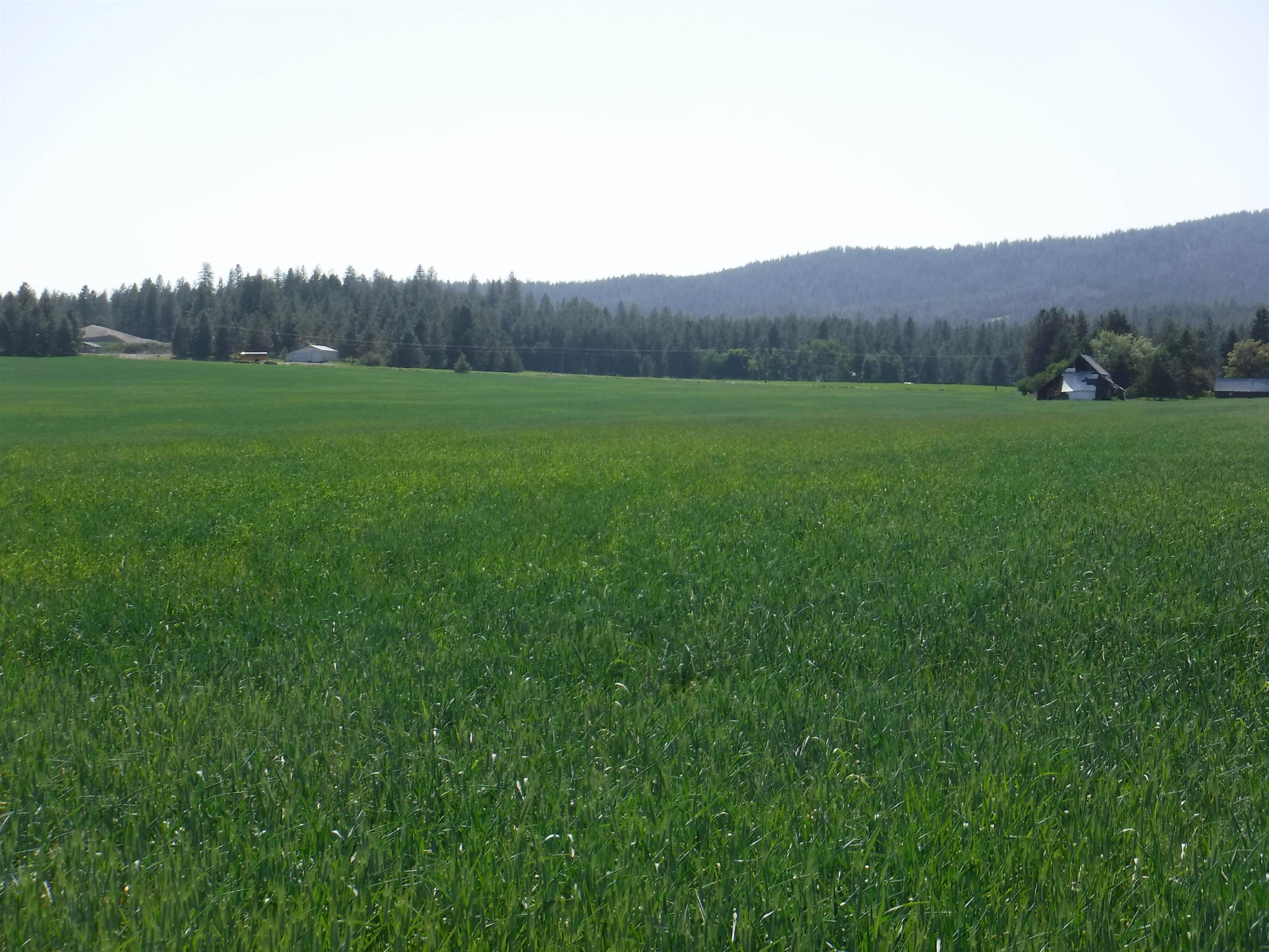 Lot 12 Mule Deer Ln - Photo 4