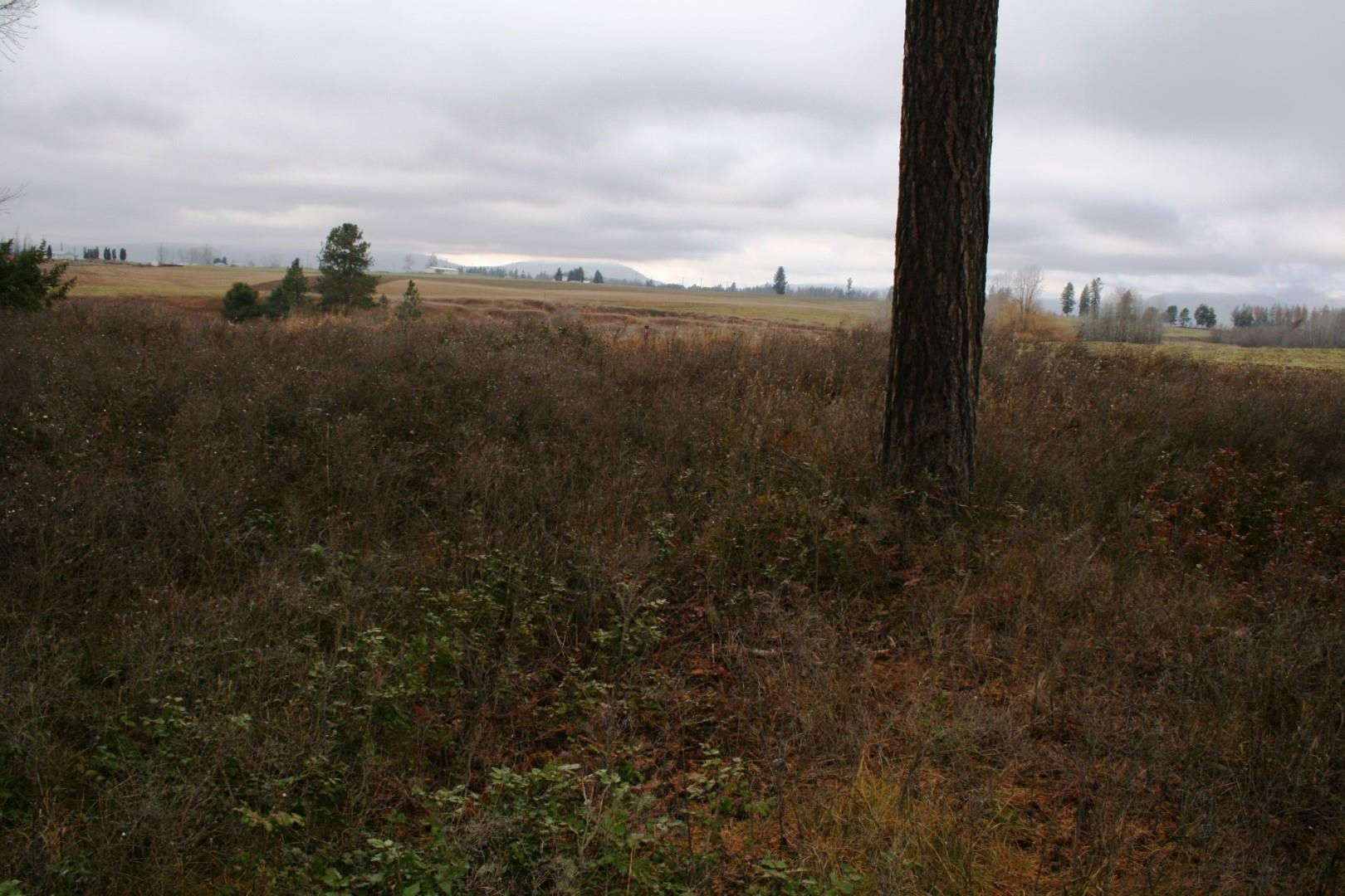 00 Dahl Lot 8 Rd - Photo 3
