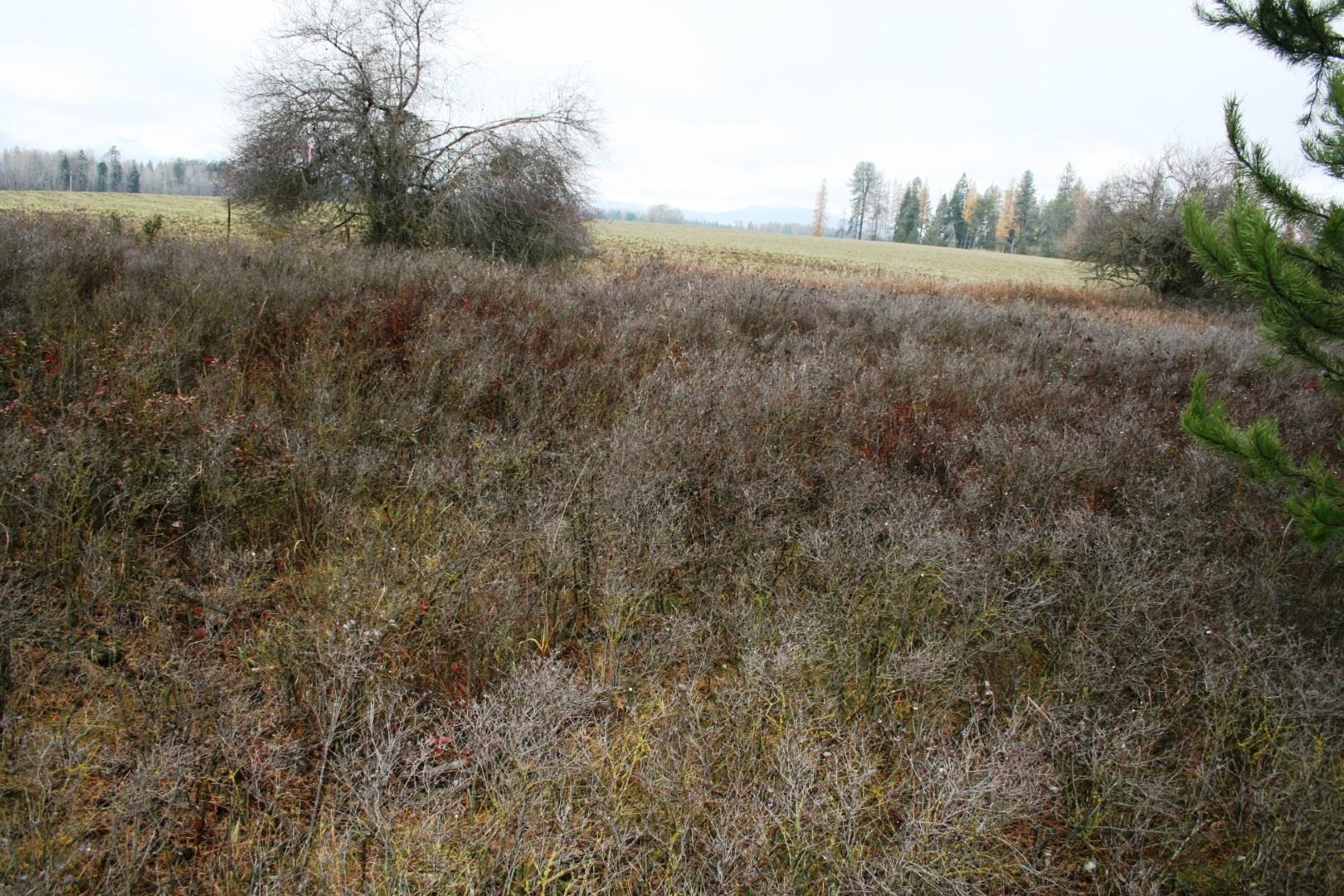 00 Dahl Lot 8 Rd - Photo 4