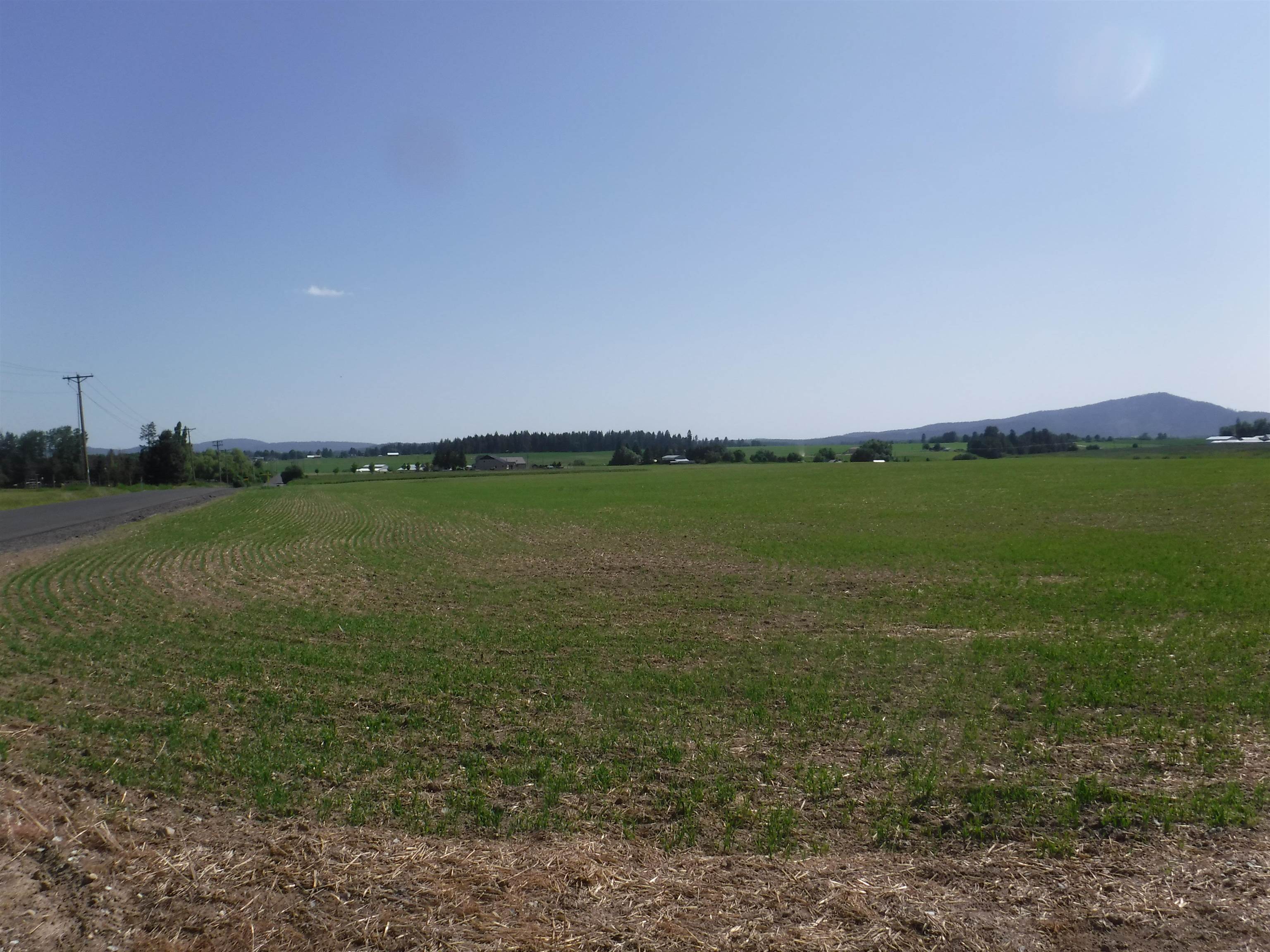 00 Spotted Lot 1 Rd - Photo 4