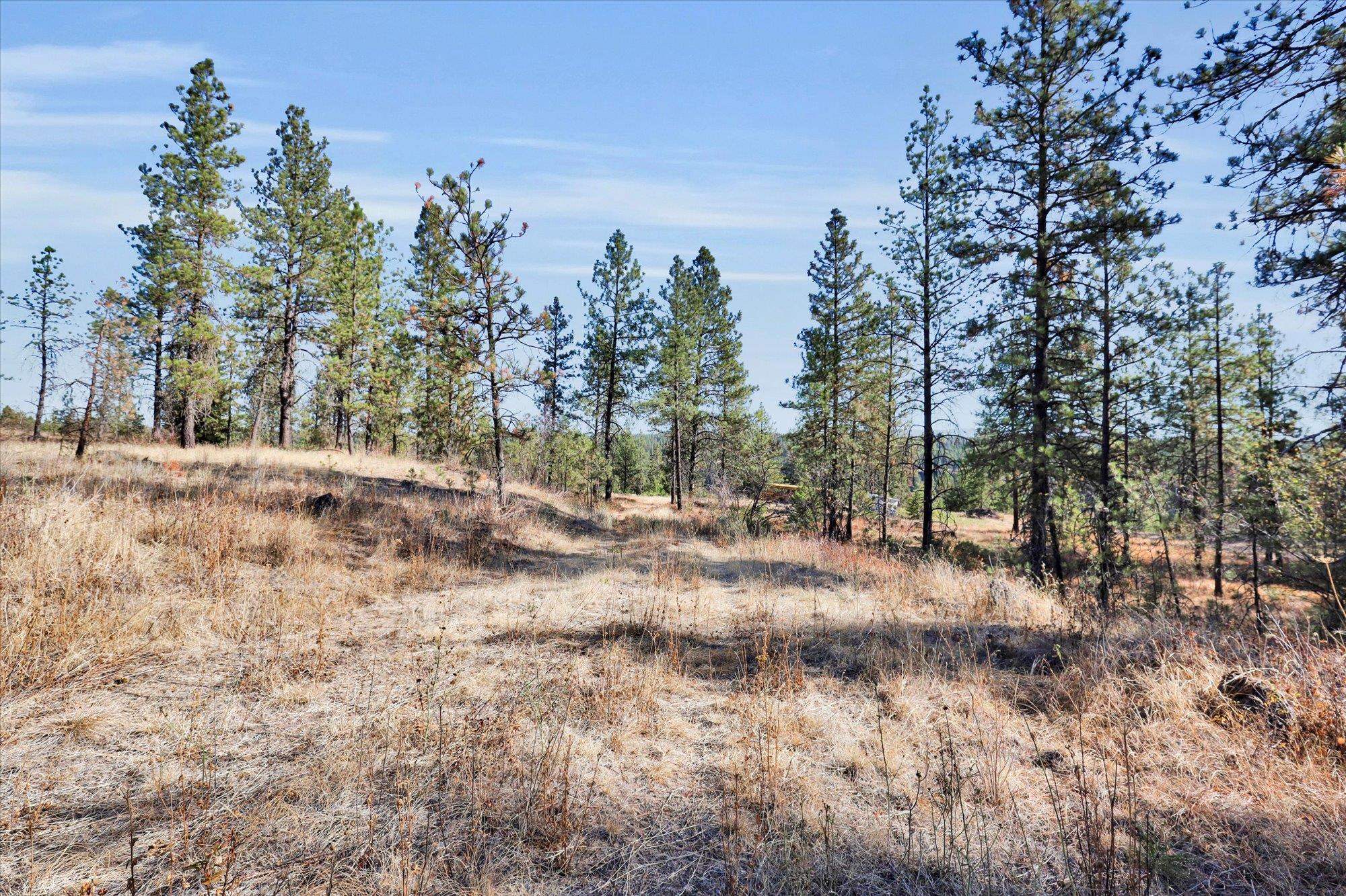 TBD S Scribner Rd - Photo 15