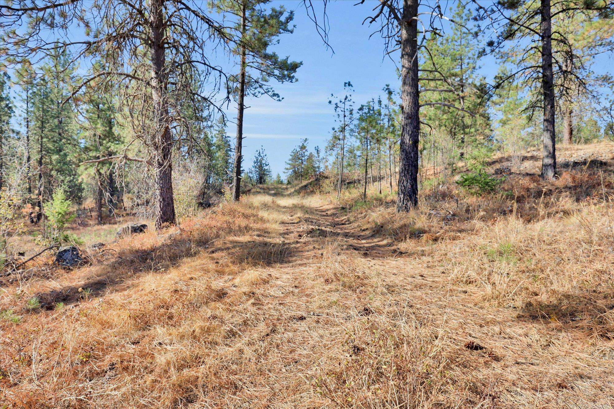 TBD S Scribner Rd - Photo 16