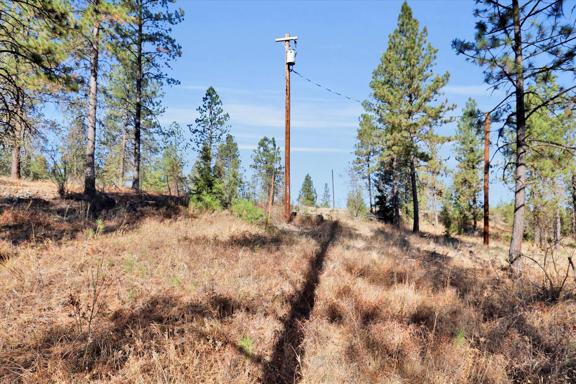 TBD S Scribner Rd - Photo 17