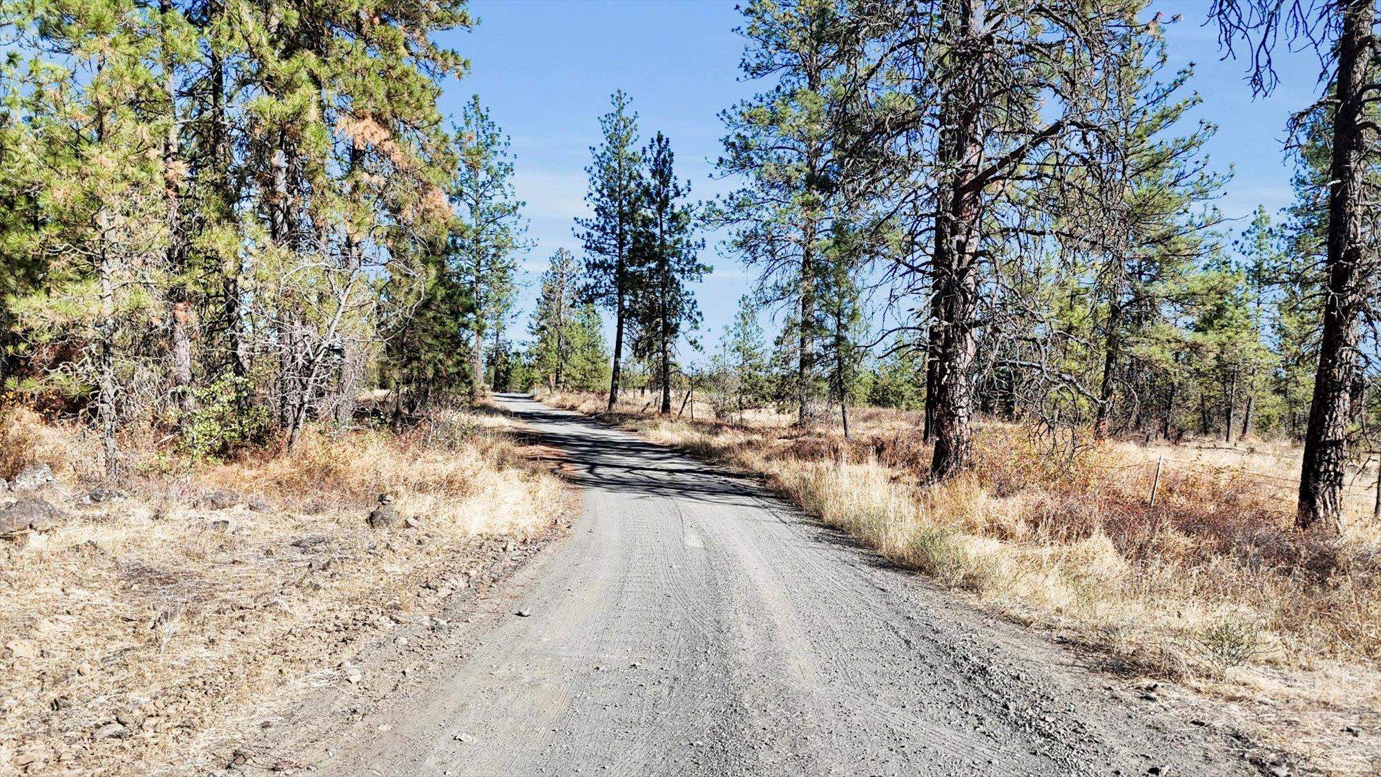 TBD S Scribner Rd - Photo 18