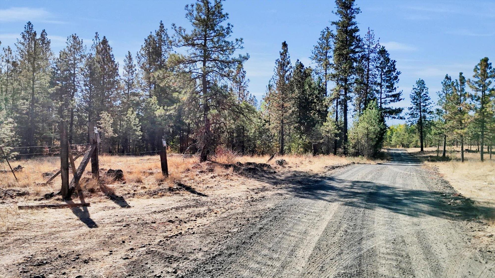 TBD S Scribner Rd - Photo 19