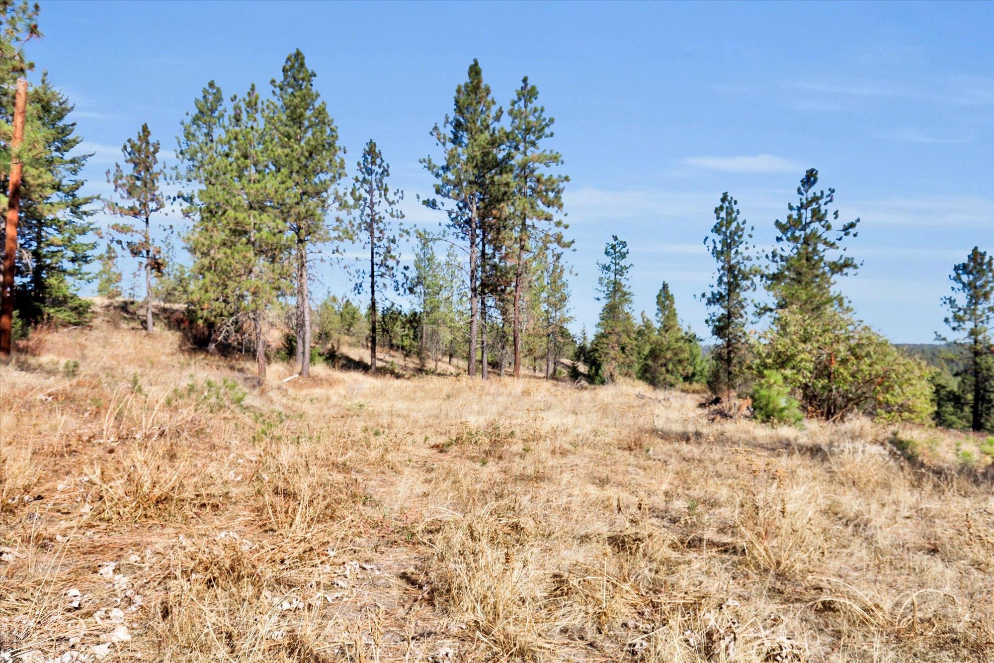 TBD S Scribner Rd - Photo 20