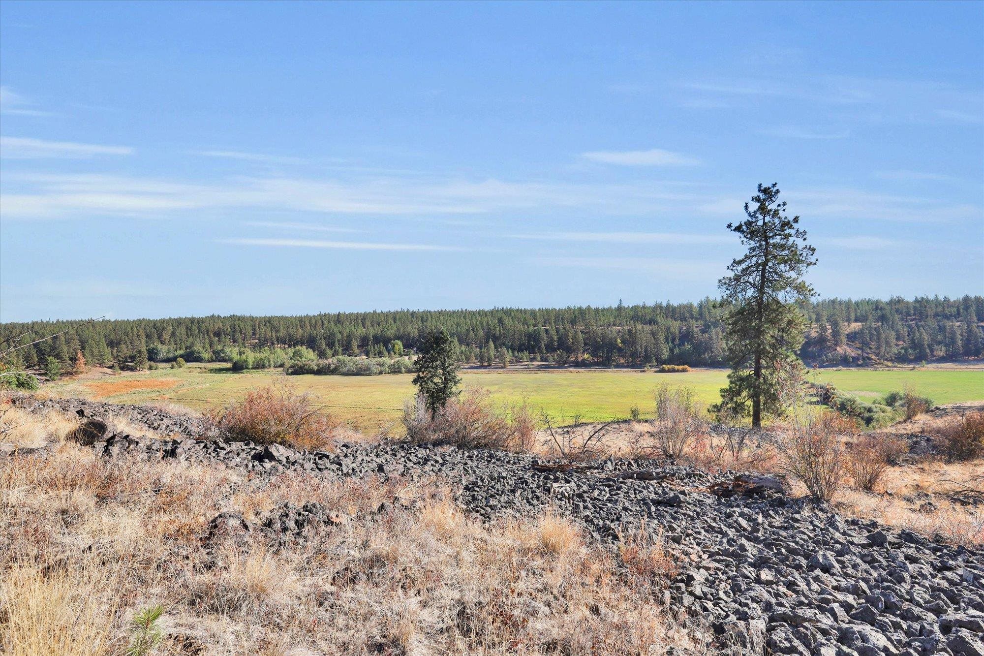 TBD S Scribner Rd - Photo 3