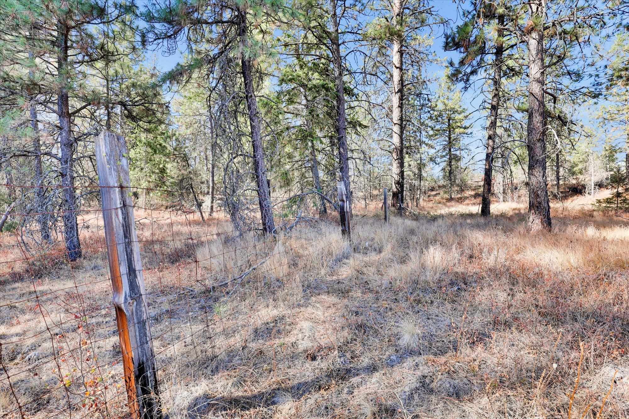 TBD S Scribner Rd - Photo 22