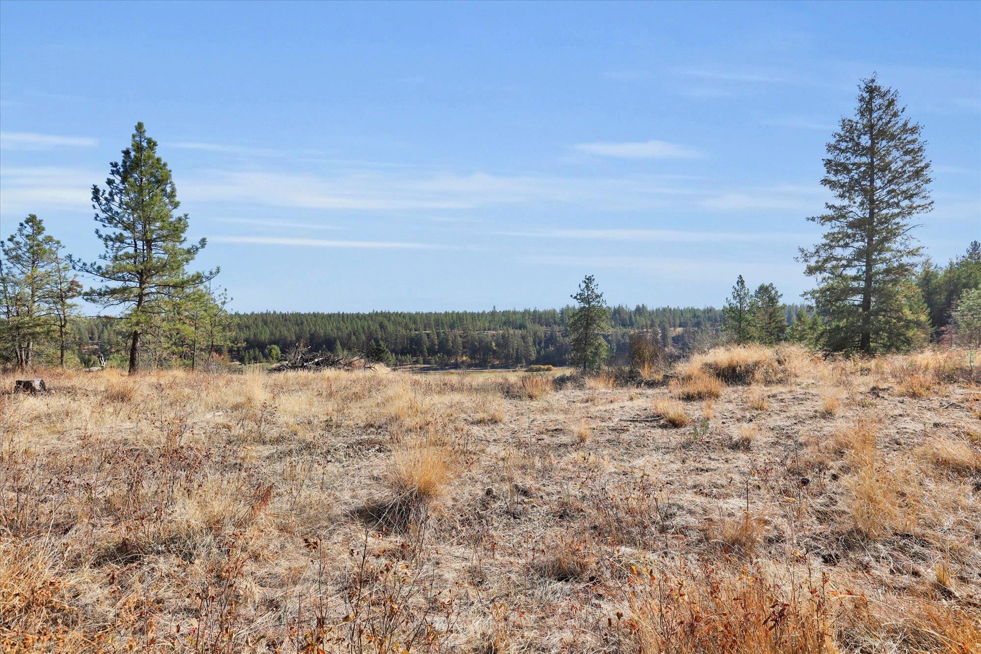 TBD S Scribner Rd - Photo 24