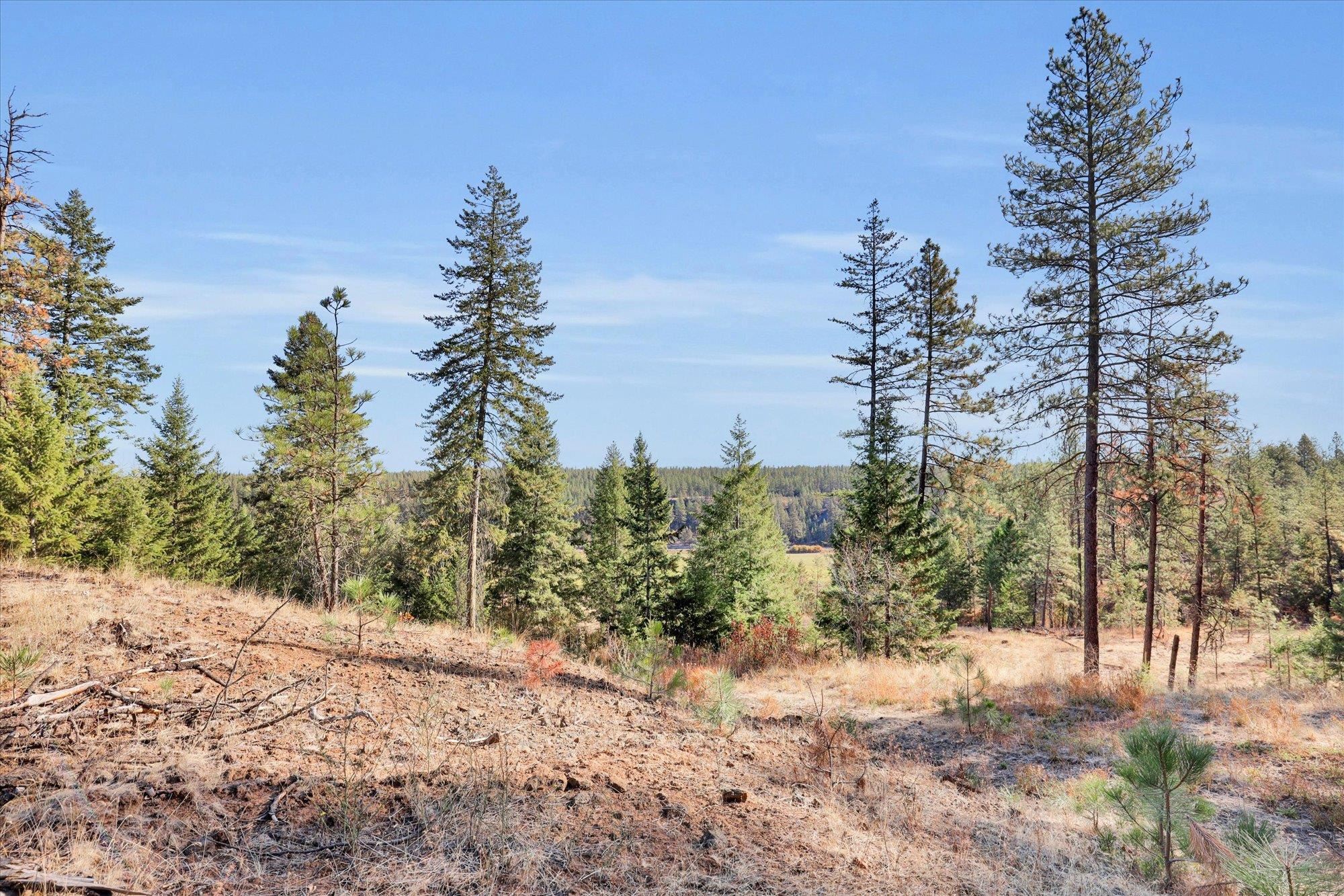 TBD S Scribner Rd - Photo 4