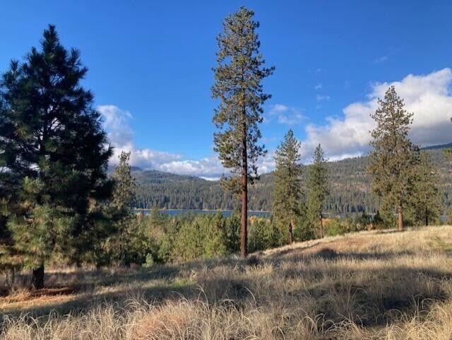 1351 Lake Roosevelt Way - Photo 1