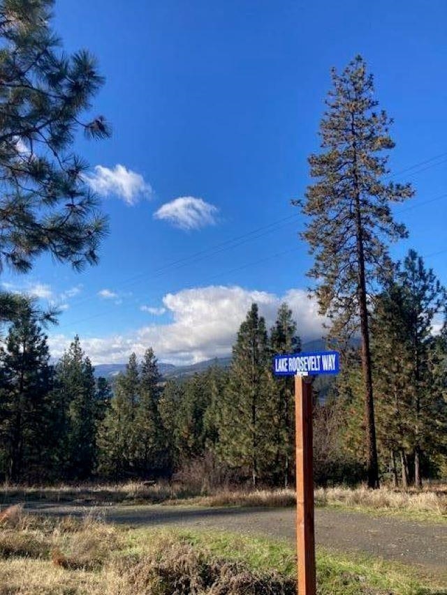 1351 Lake Roosevelt Way - Photo 12