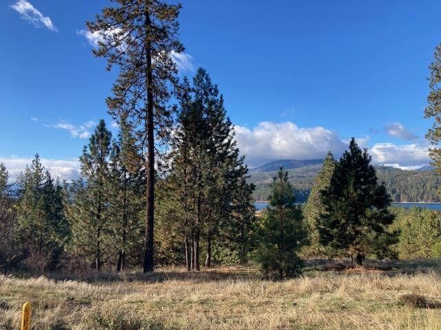1351 Lake Roosevelt Way - Photo 3