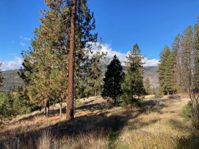 1351 Lake Roosevelt Way - Photo 4