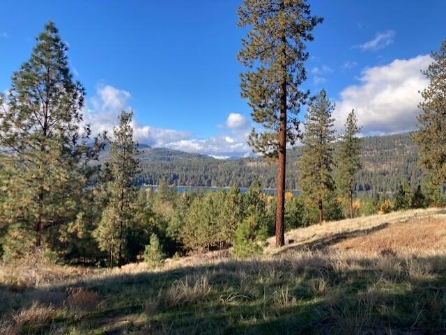 1351 Lake Roosevelt Way - Photo 5