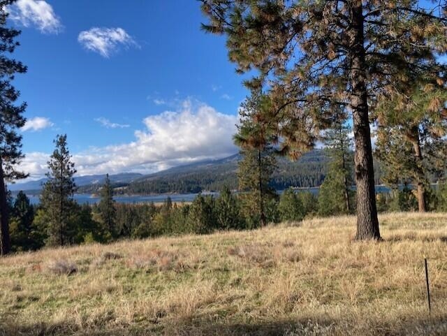 1351 Lake Roosevelt Way - Photo 8