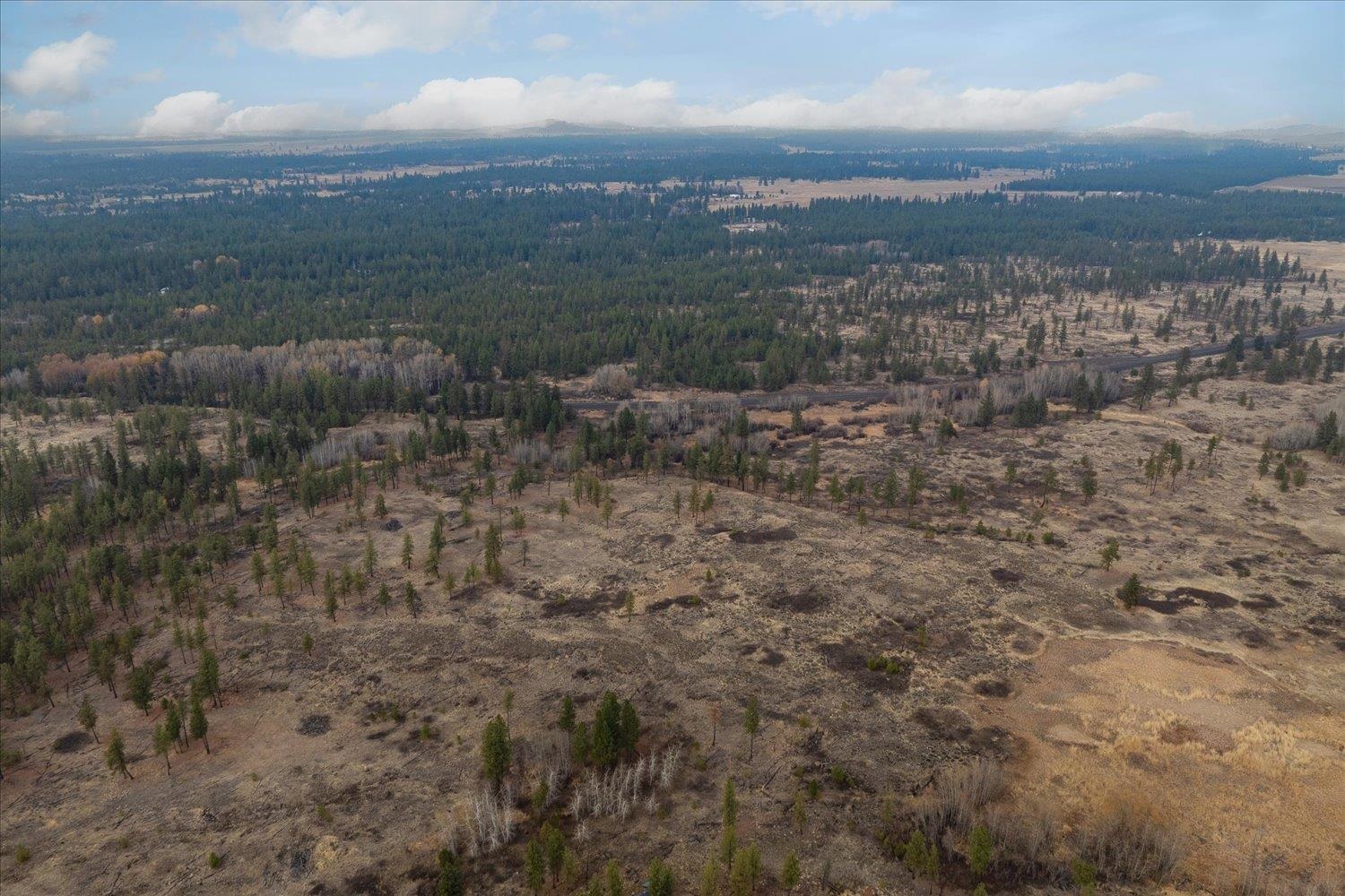 XXXX Vacant Land - Photo 10