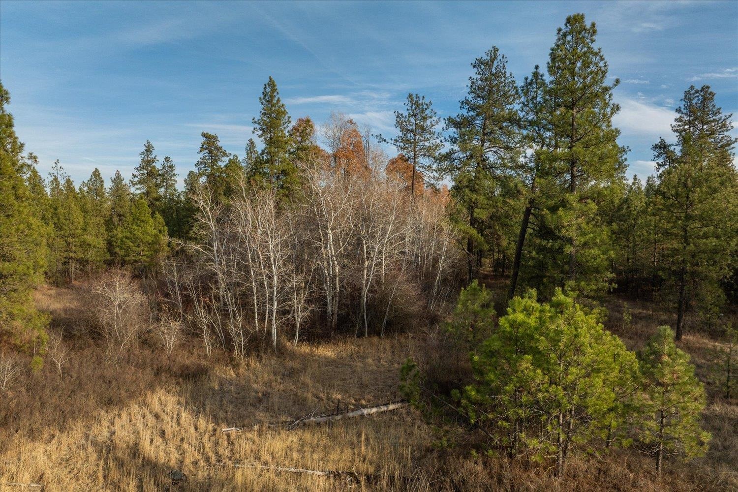 XXXX Vacant Land - Photo 8